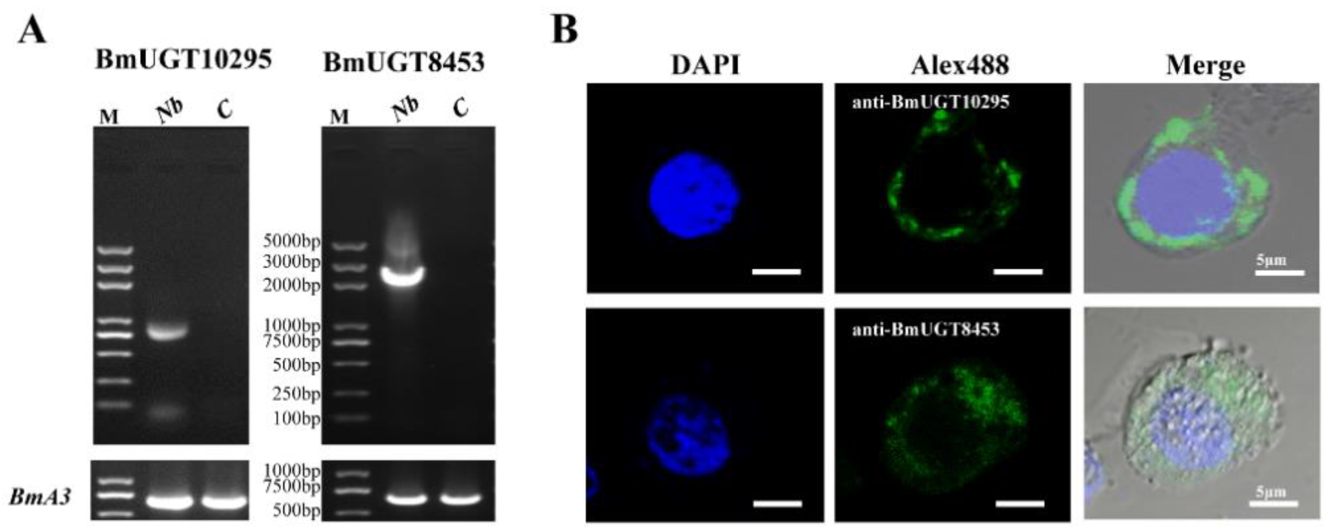 Insects 12 00799 g005 550