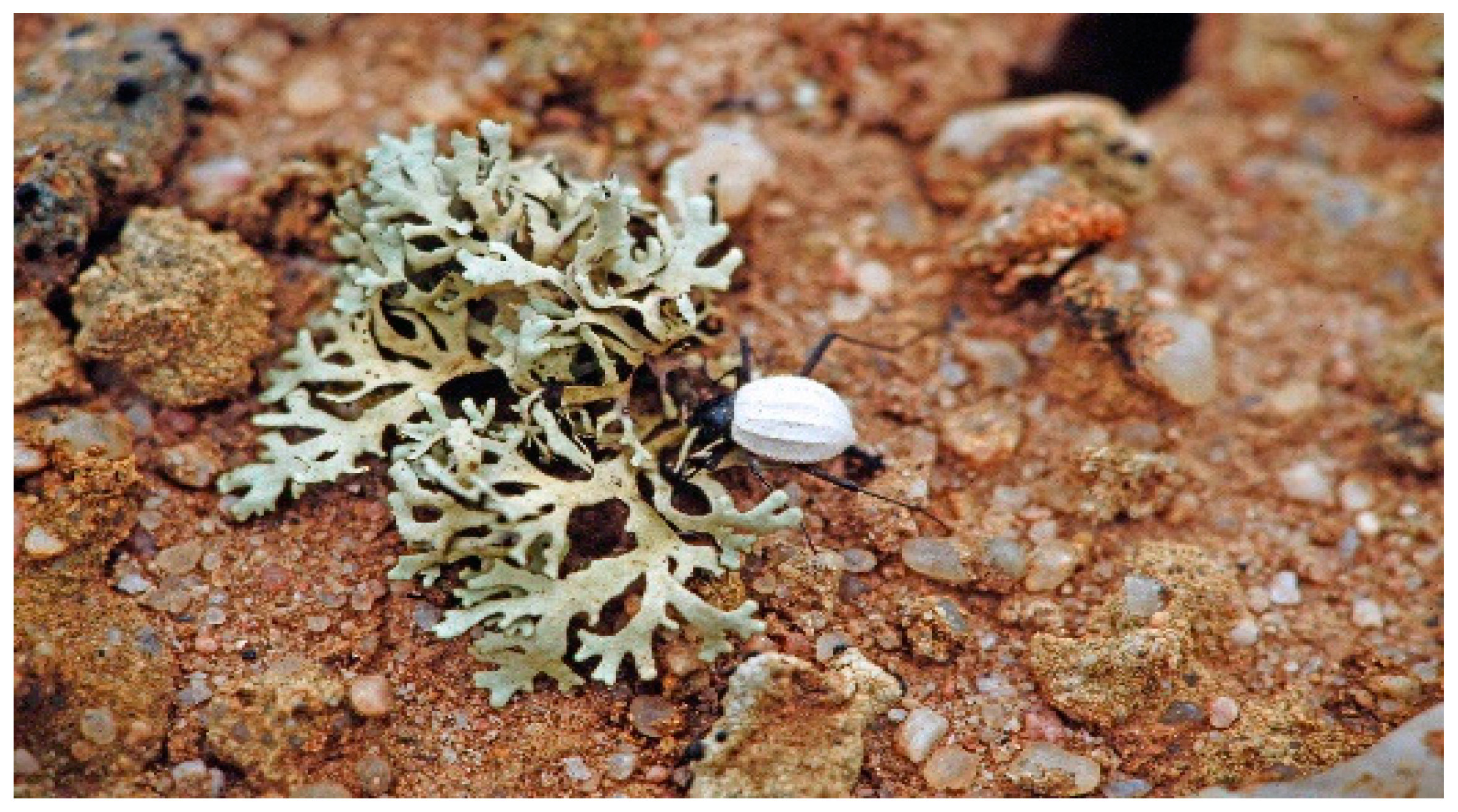 Insects 12 00804 g009 Insects 12 00804 g009