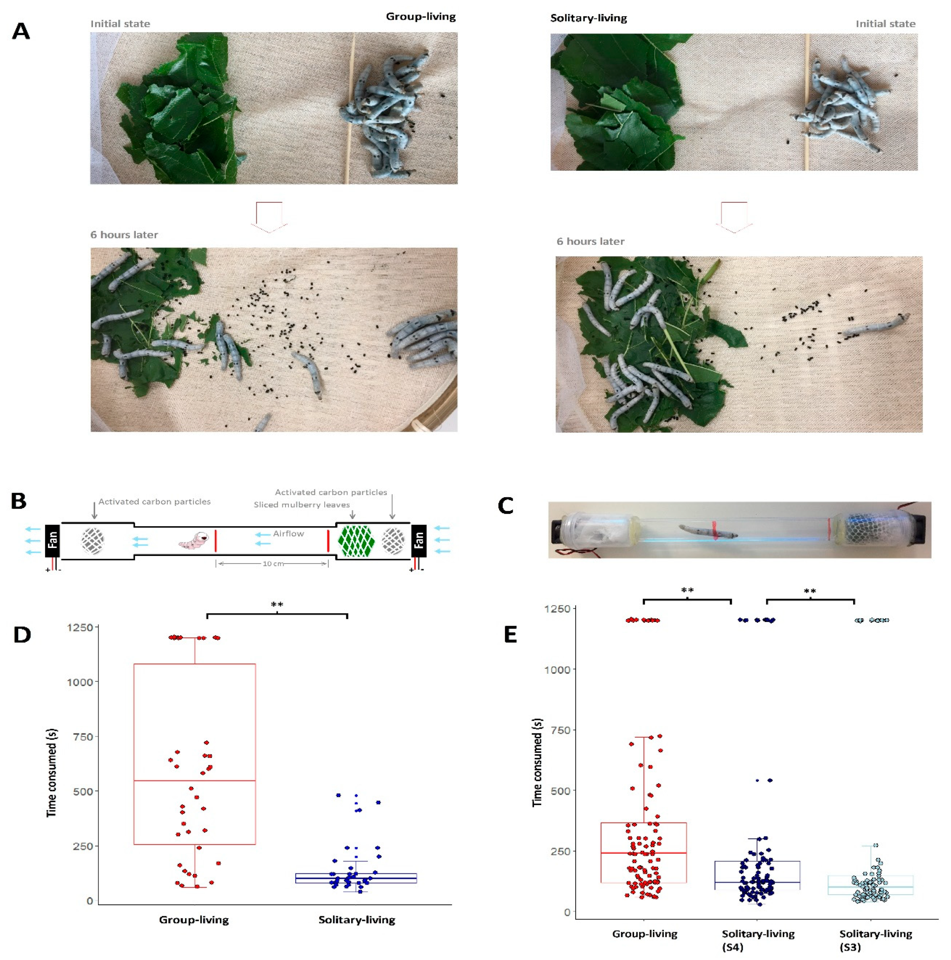 Insects 12 00809 g002 550