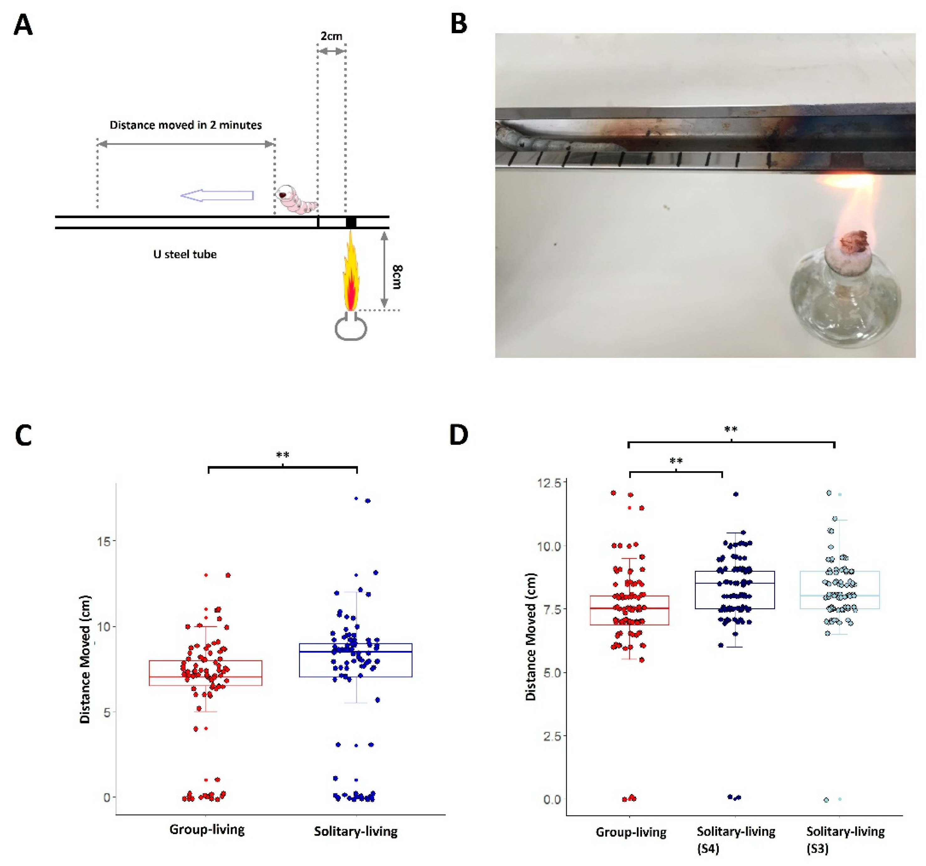 Insects 12 00809 g003 550
