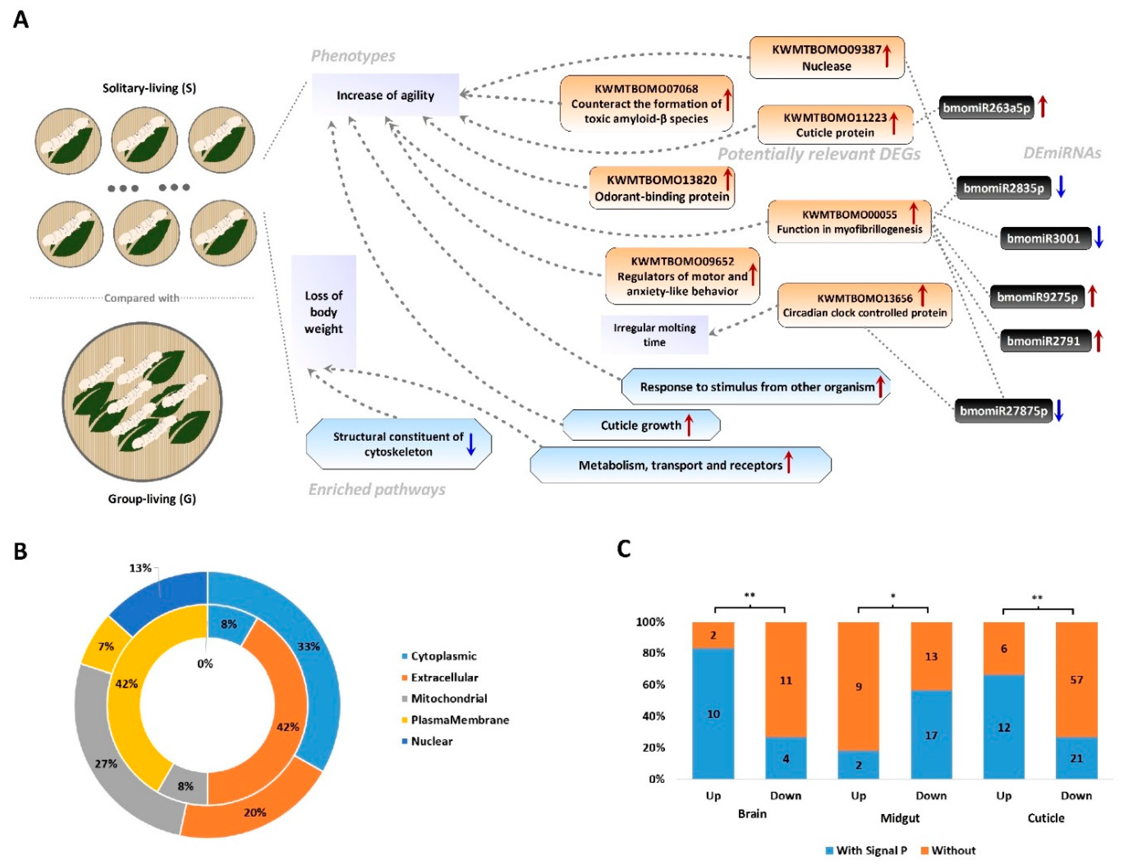 Insects 12 00809 g005 550
