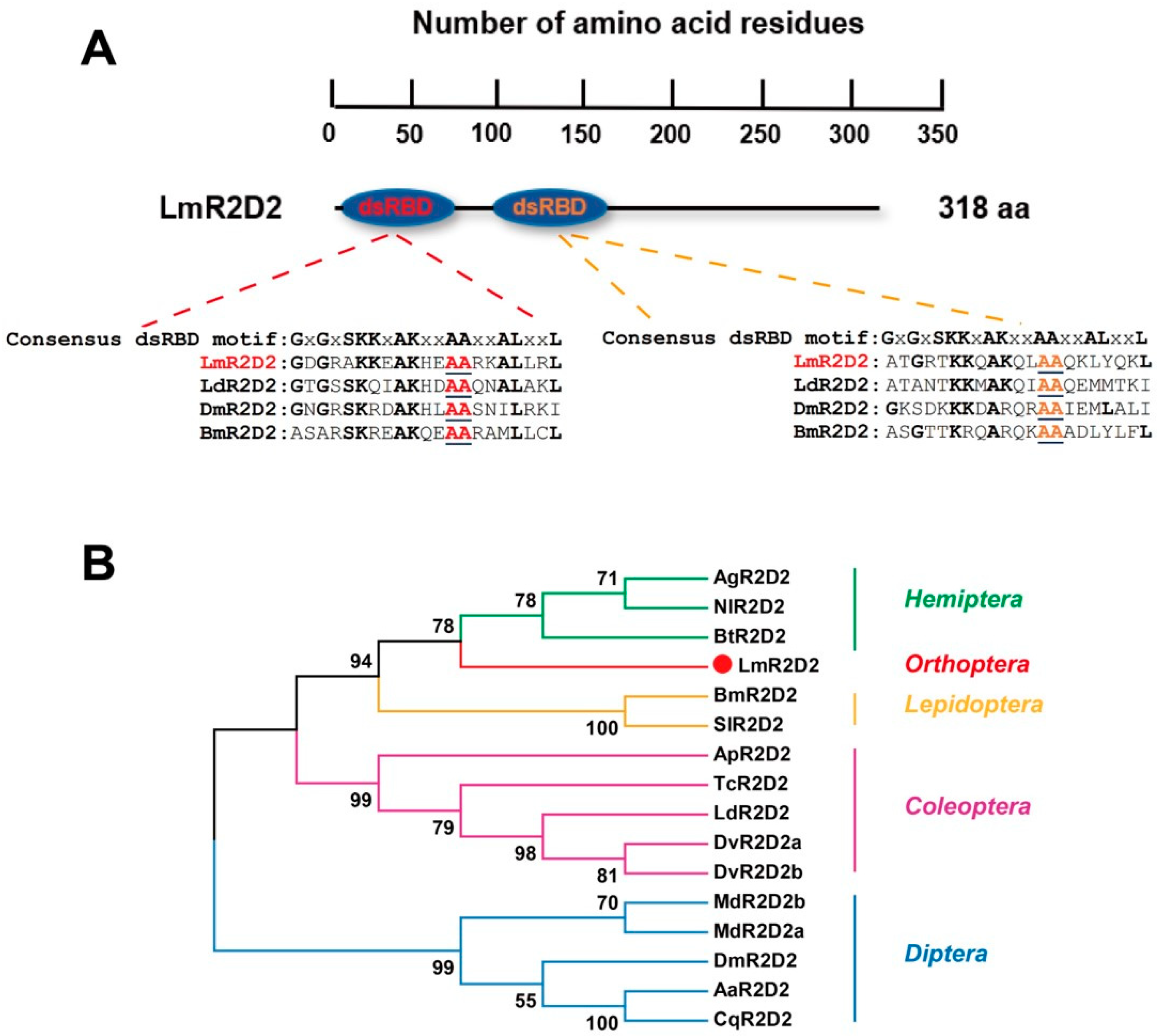 Insects 12 00812 g001