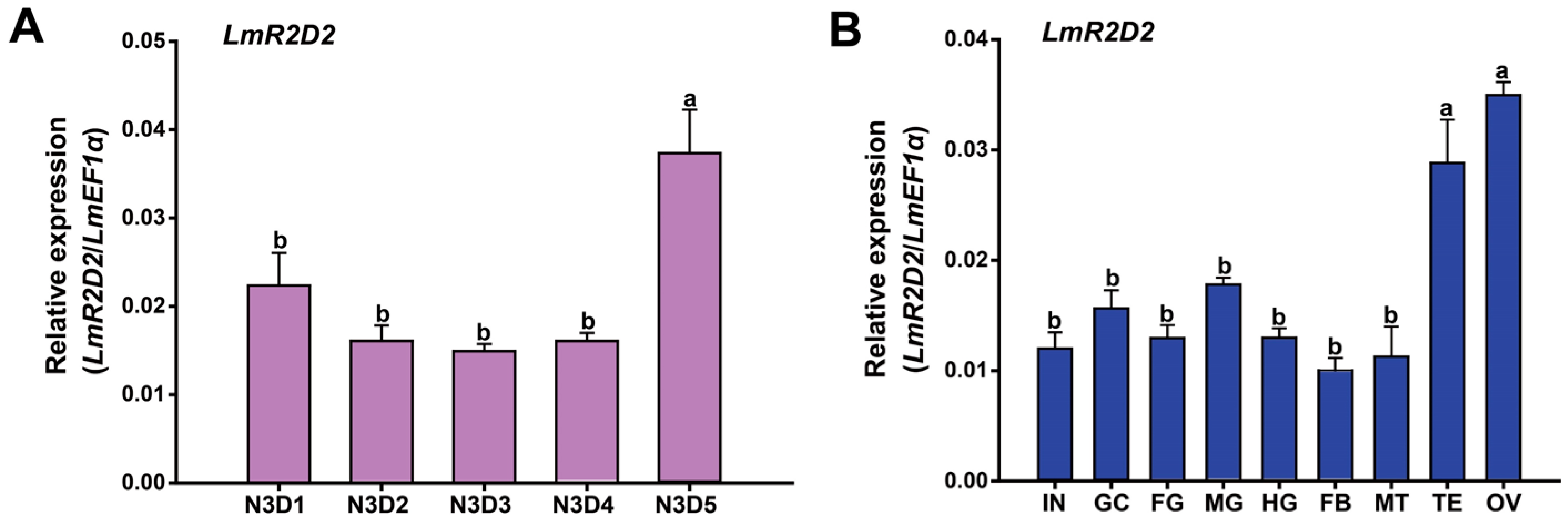 Insects 12 00812 g002