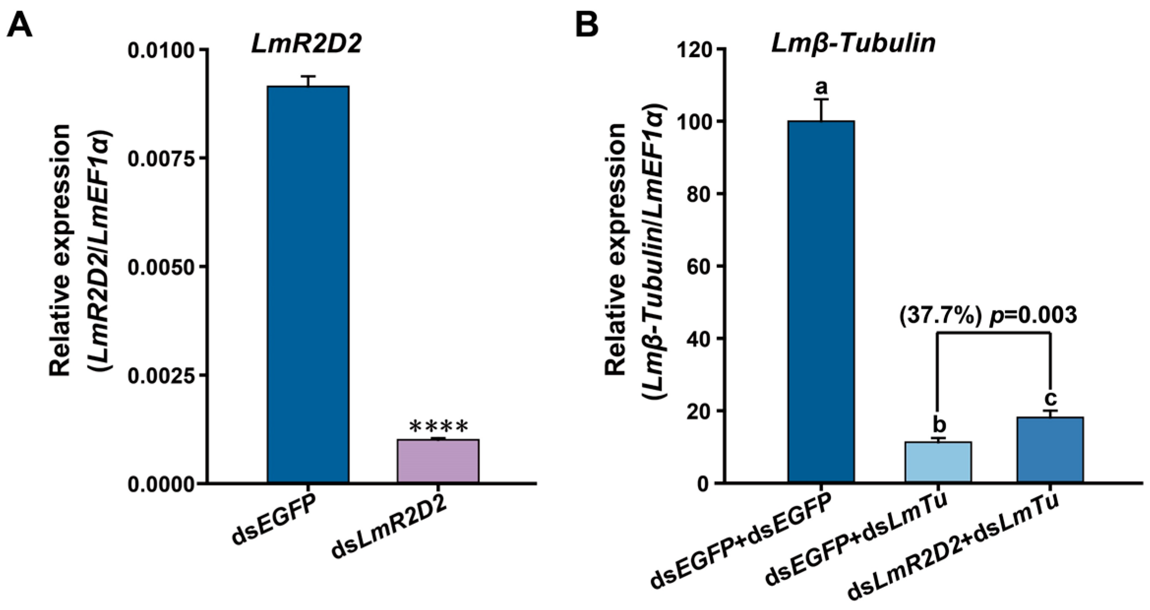 Insects 12 00812 g003