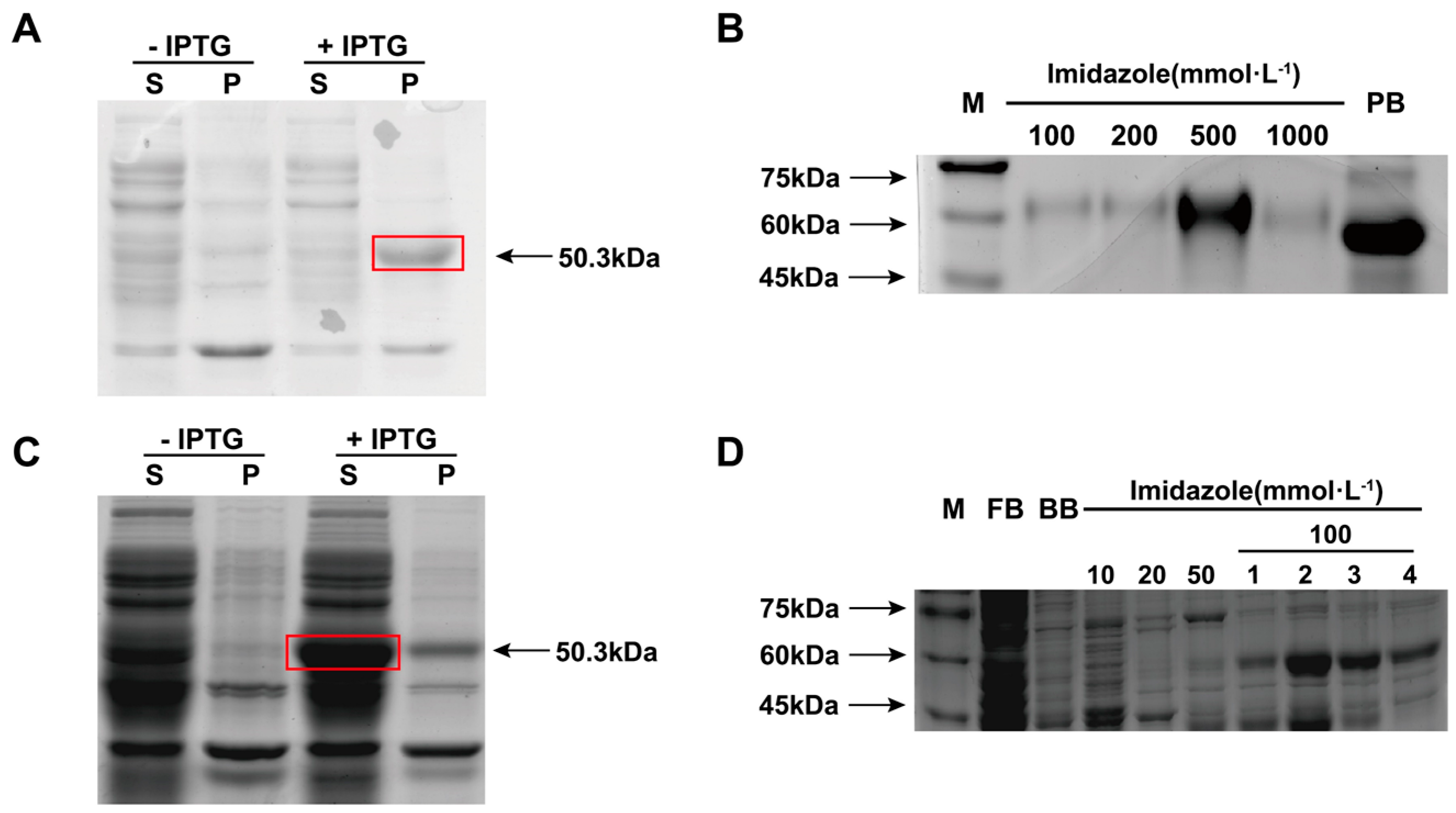 Insects 12 00812 g004