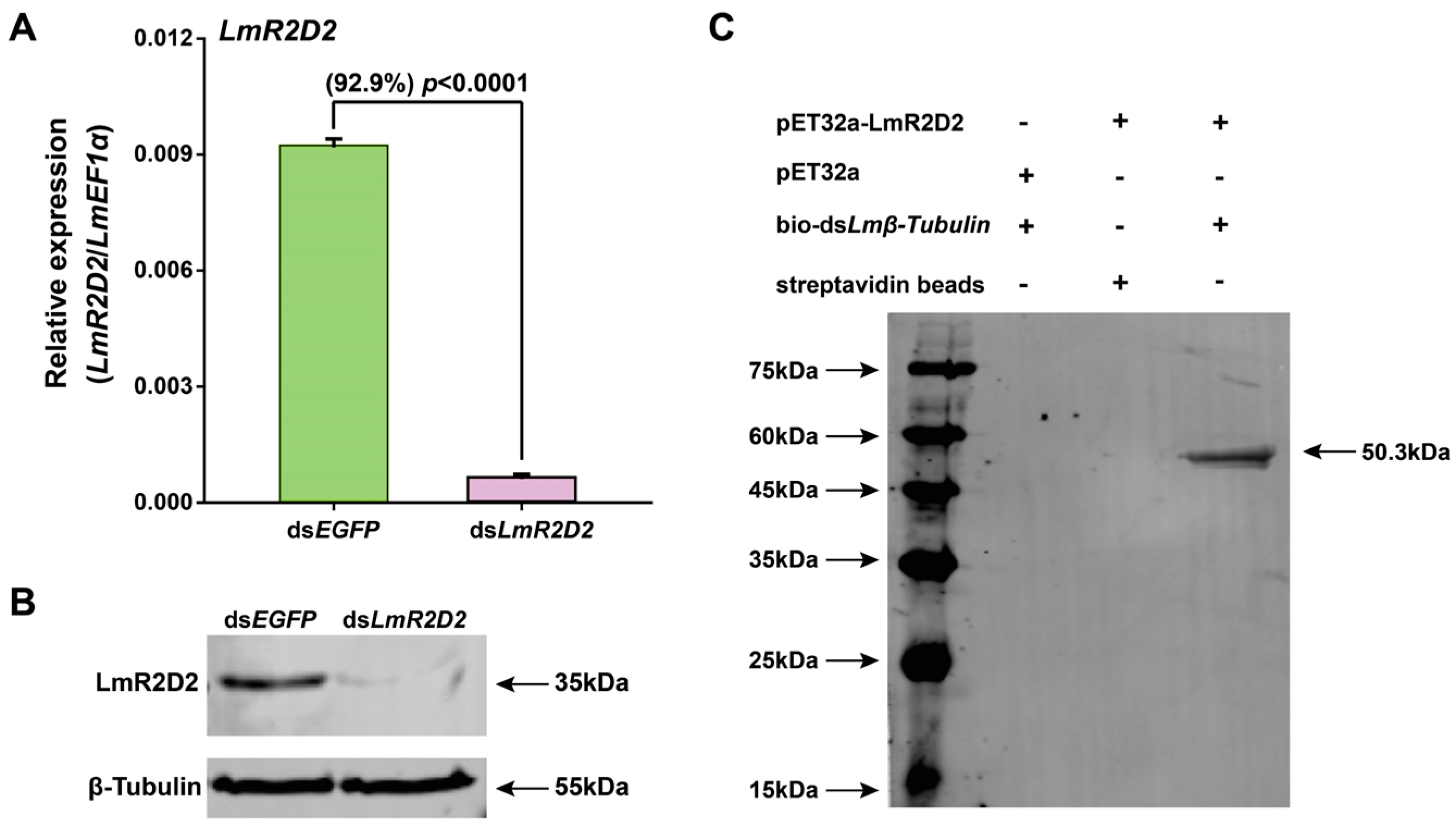 Insects 12 00812 g005