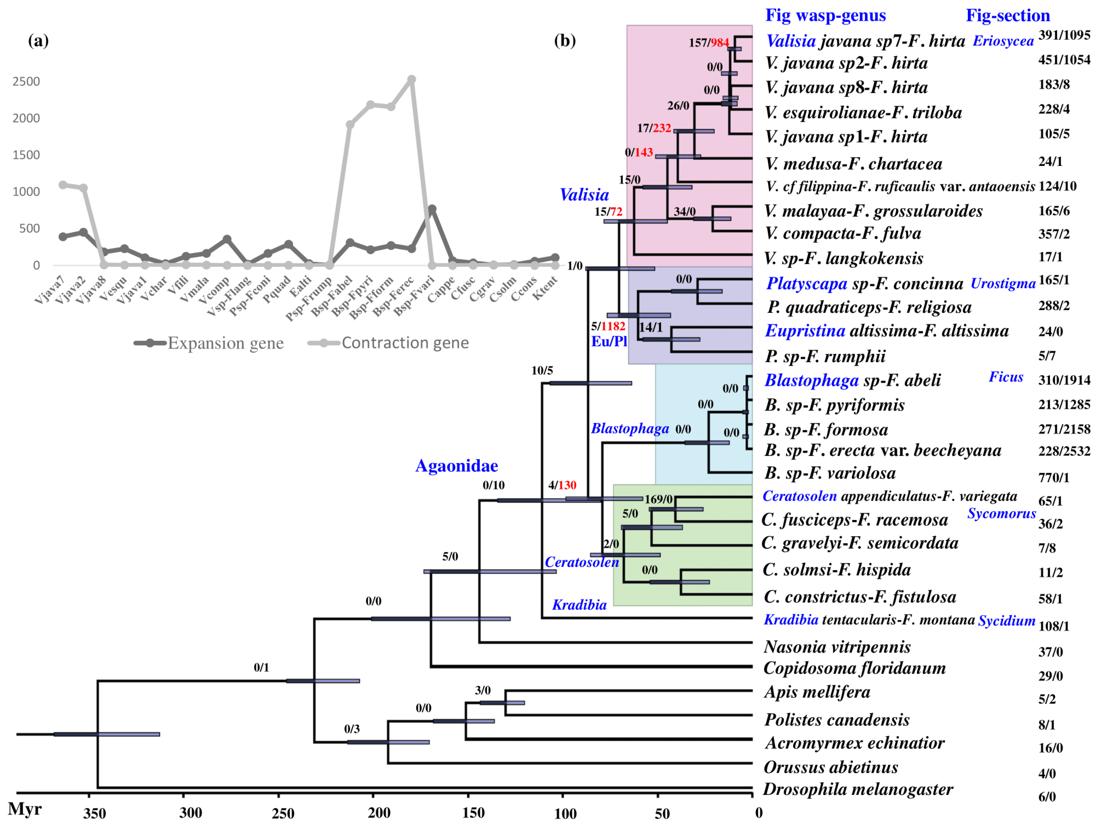 Insects 12 00815 g002 Insects 12 00815 g002