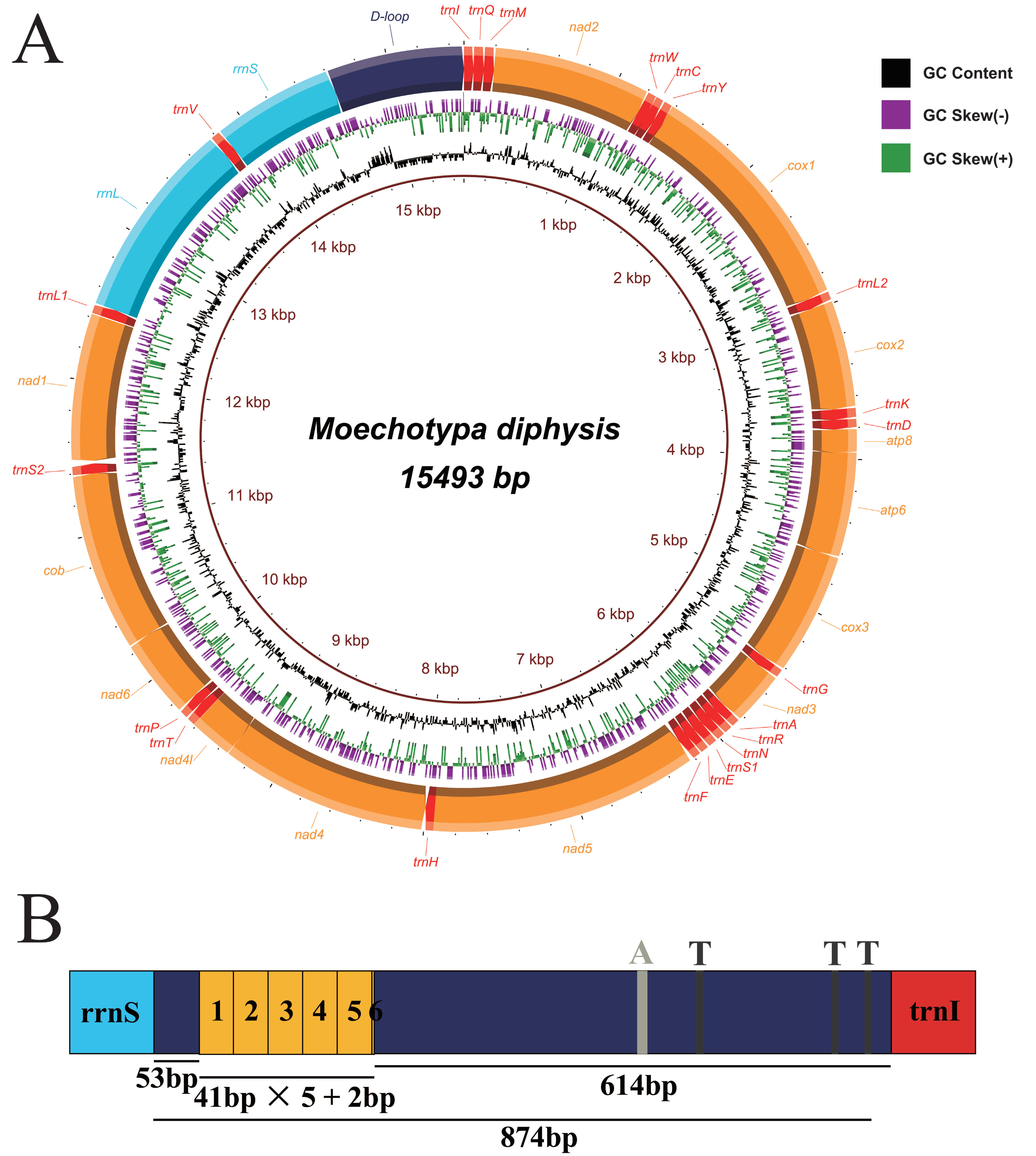 Insects 12 00820 g002 550