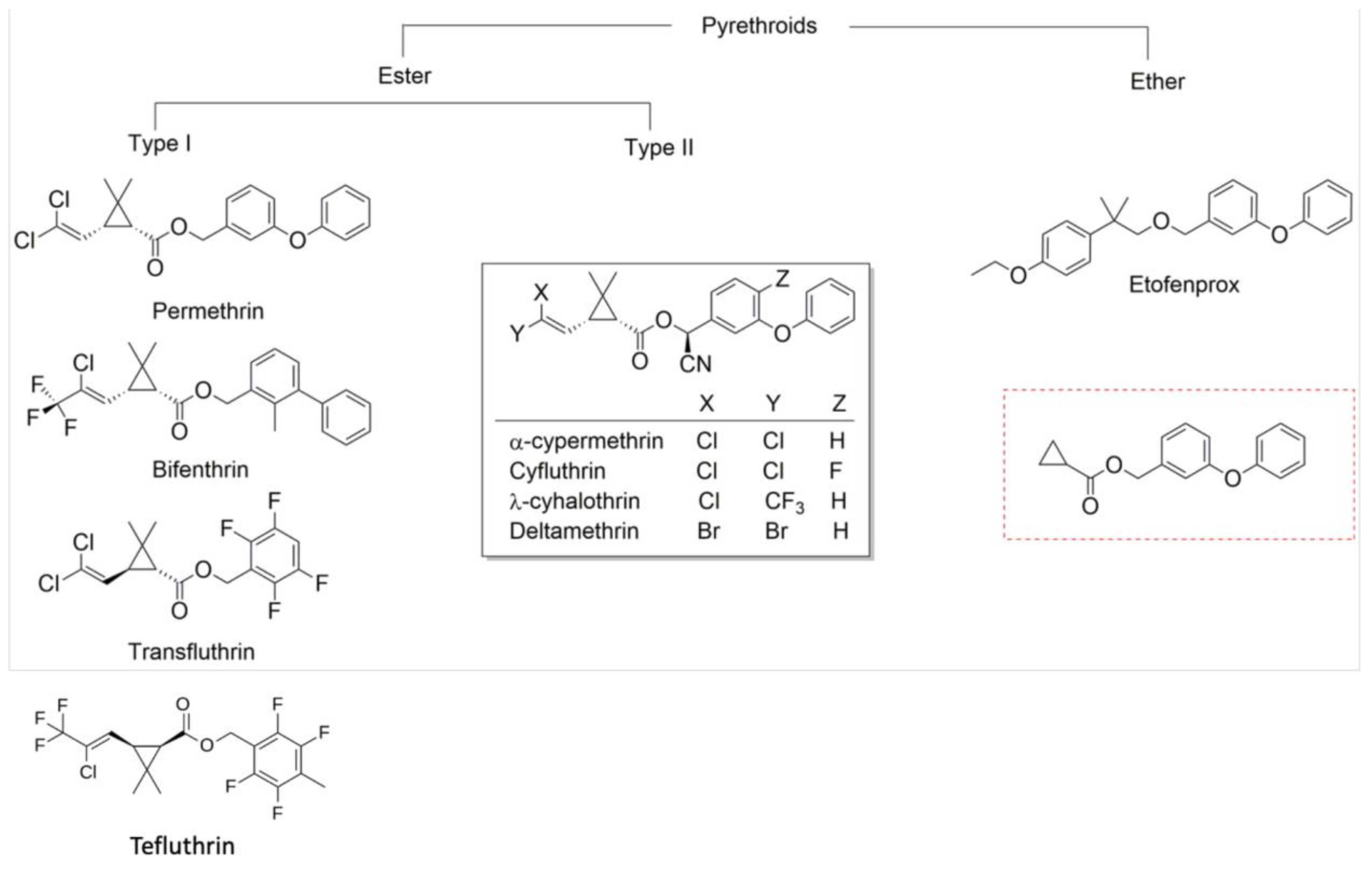 Insects 12 00826 g002 550