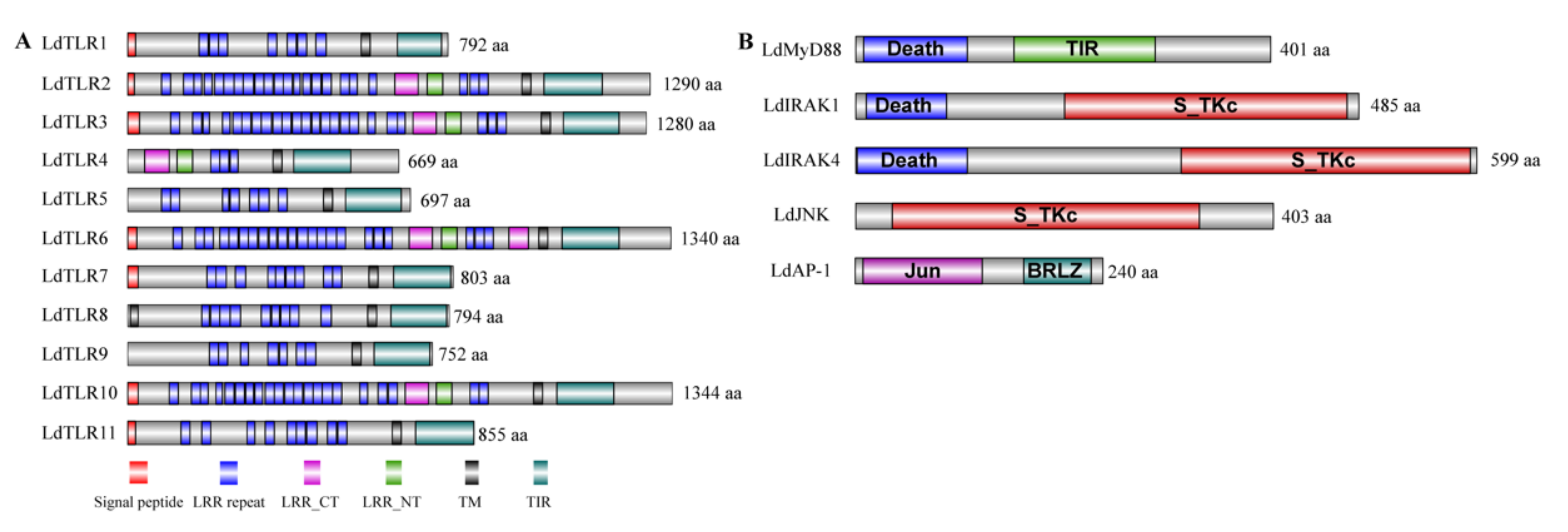 Insects 12 00827 g001
