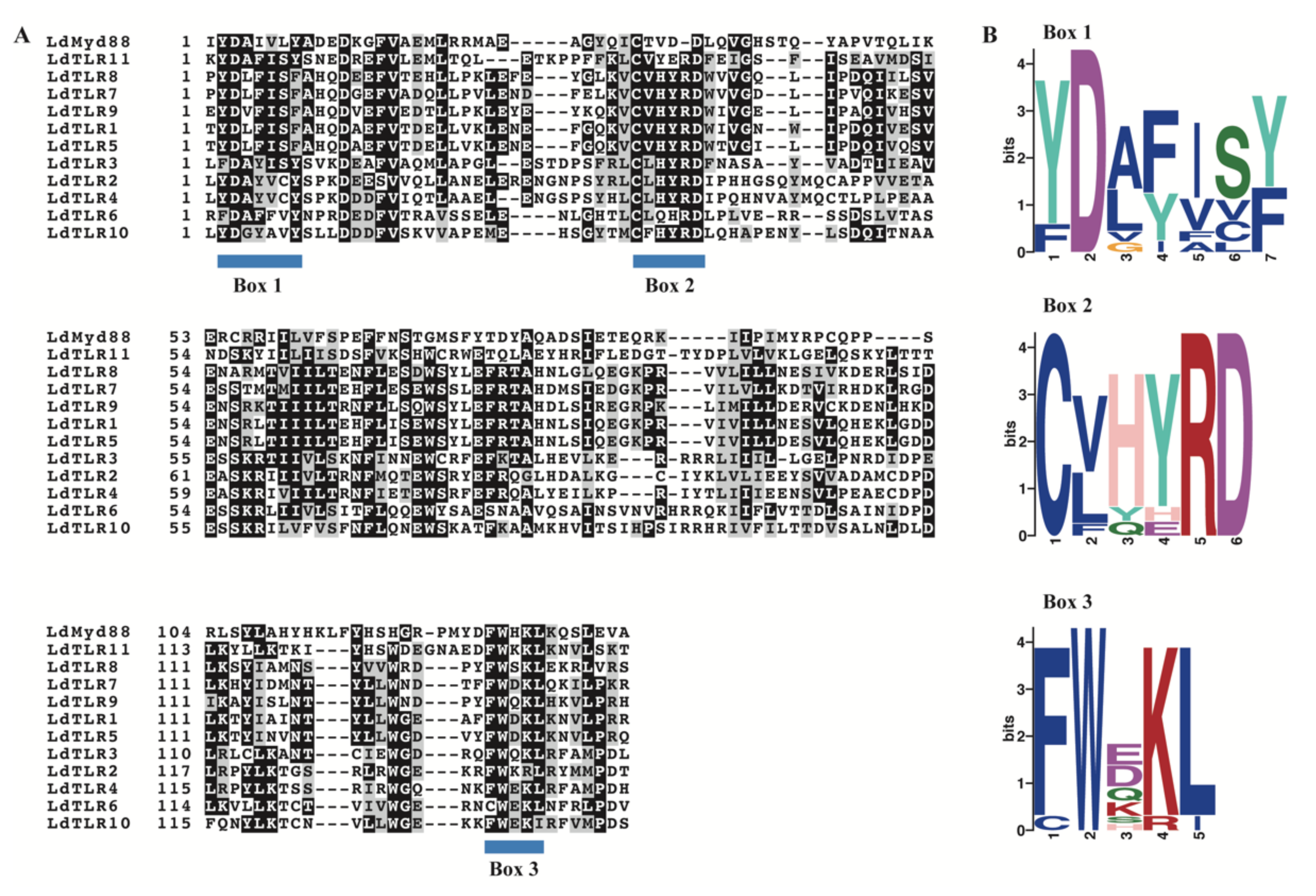 Insects 12 00827 g002