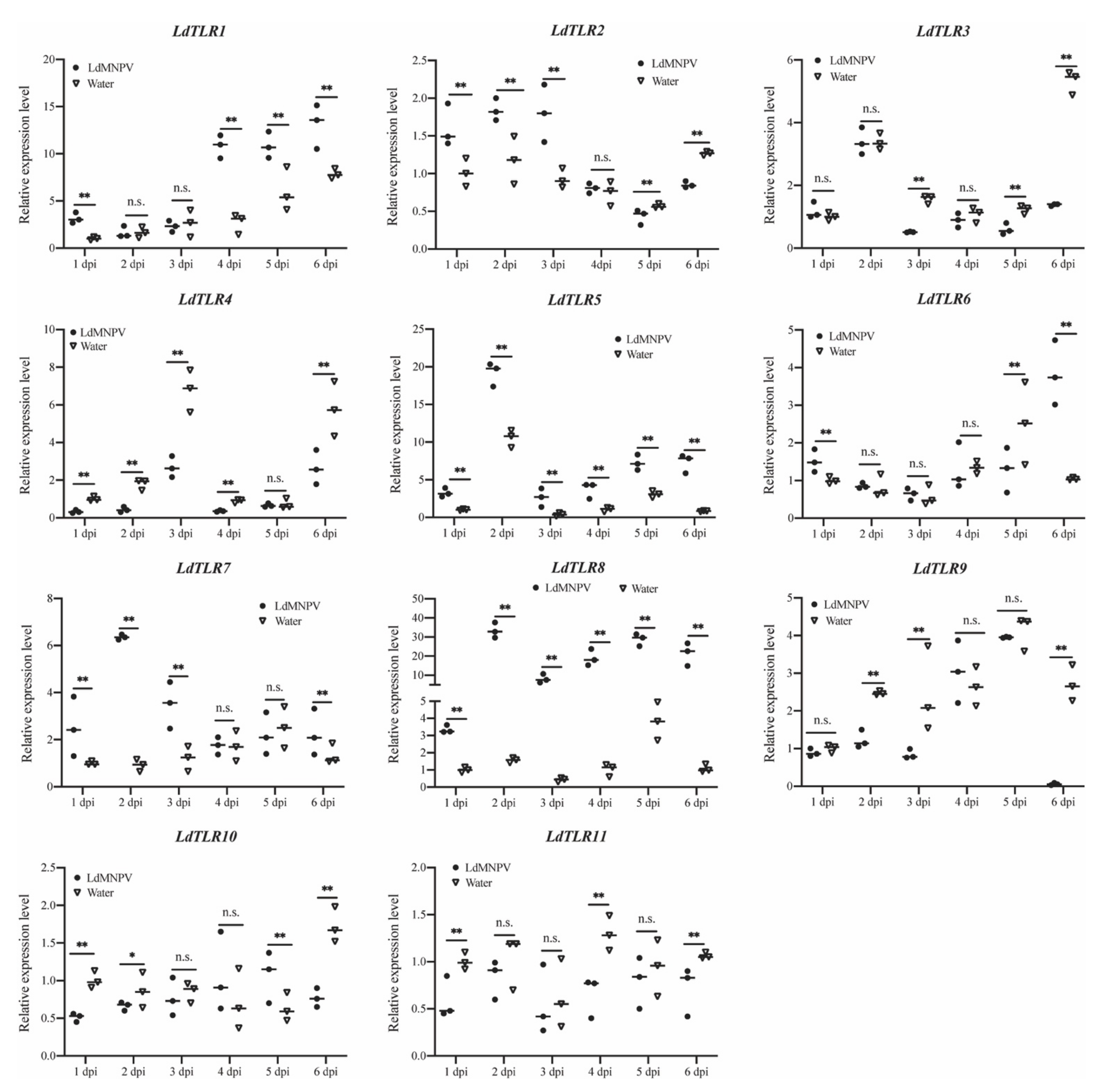 Insects 12 00827 g005