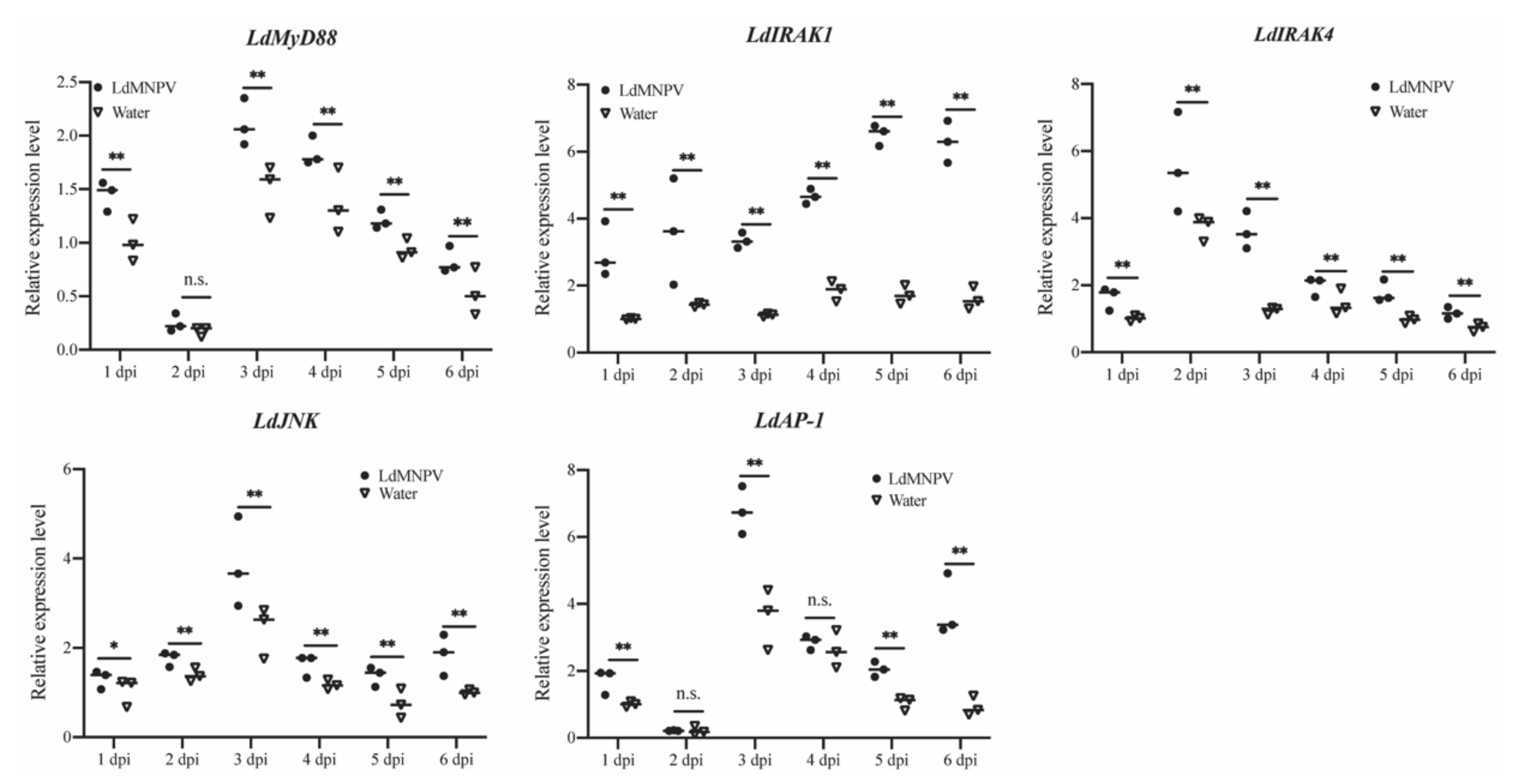 Insects 12 00827 g006