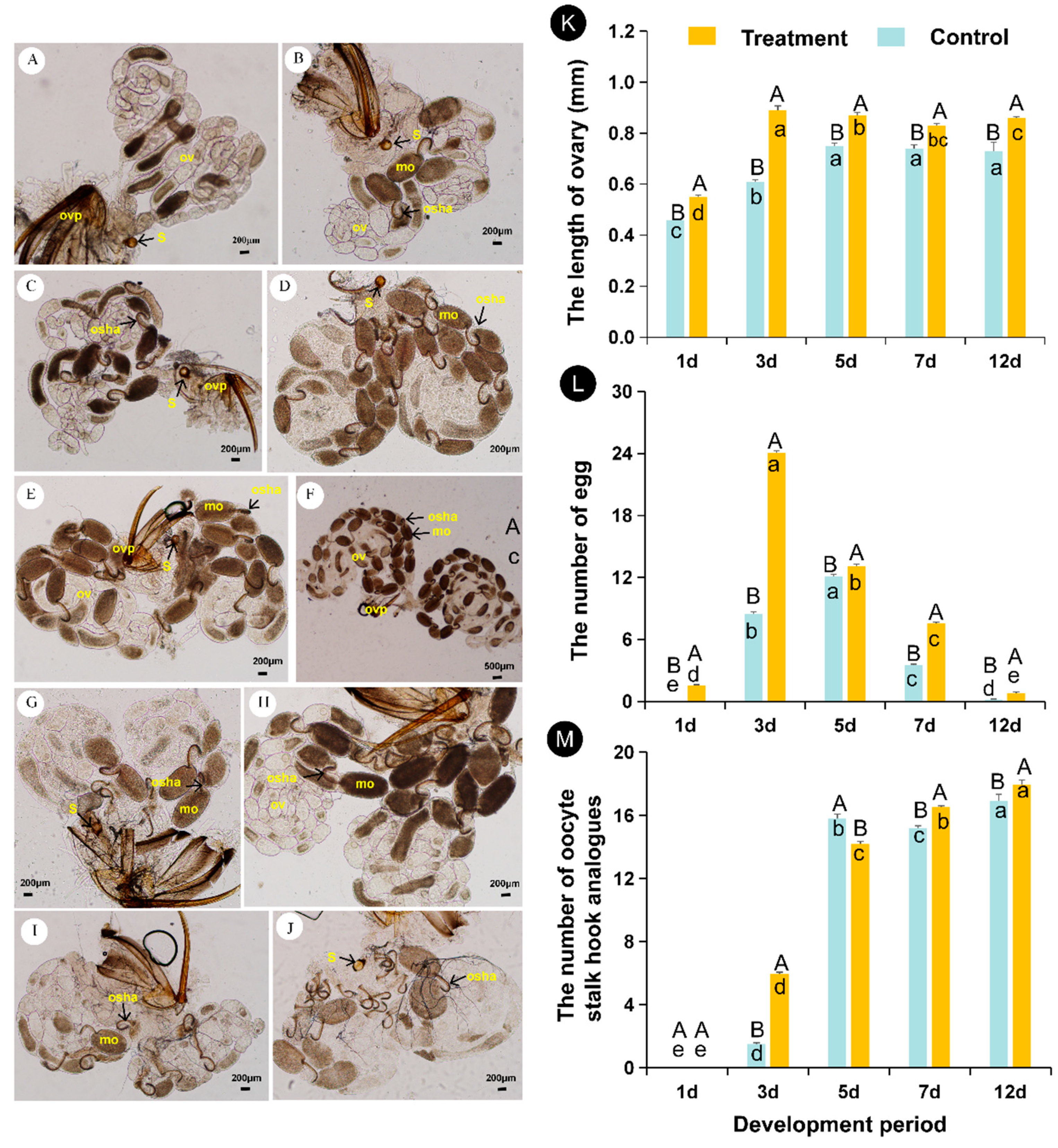 Insects 12 00833 g002 Insects 12 00833 g002