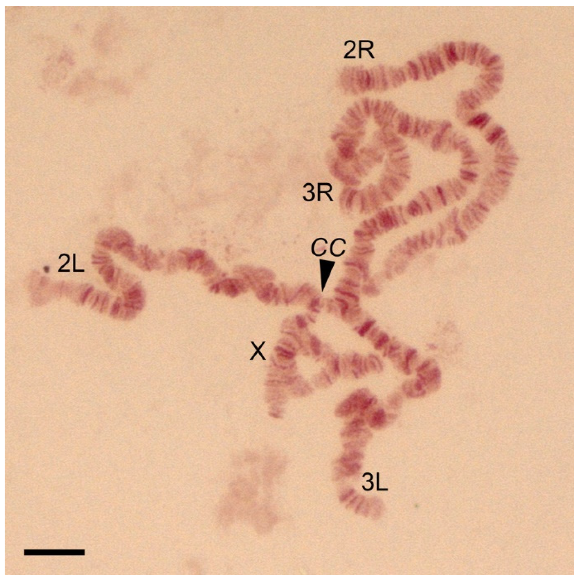Insects 12 00835 g001 Insects 12 00835 g001
