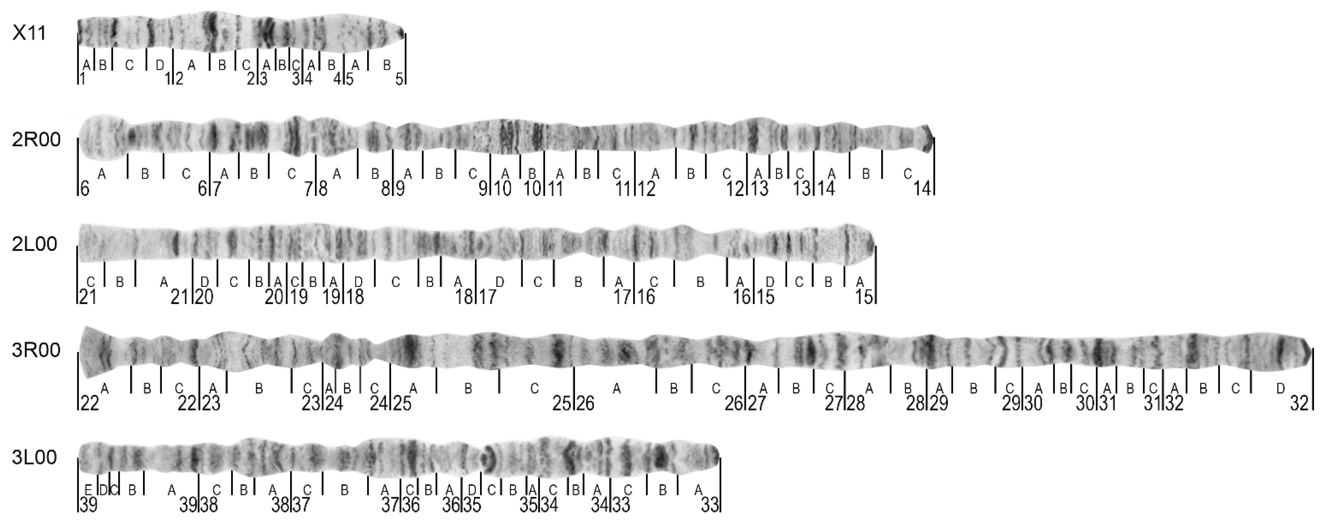Insects 12 00835 g002 Insects 12 00835 g002