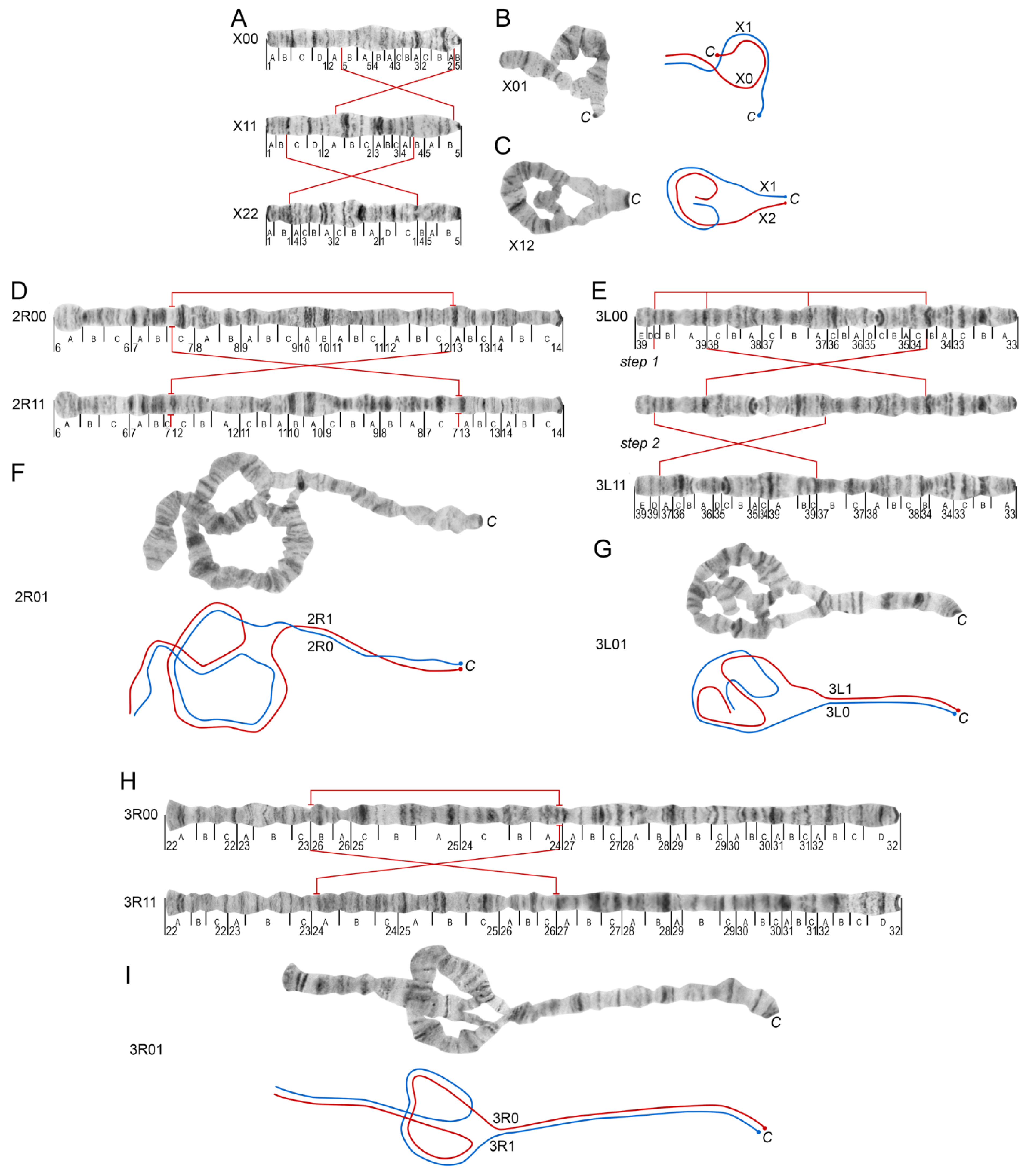 Insects 12 00835 g003 Insects 12 00835 g003