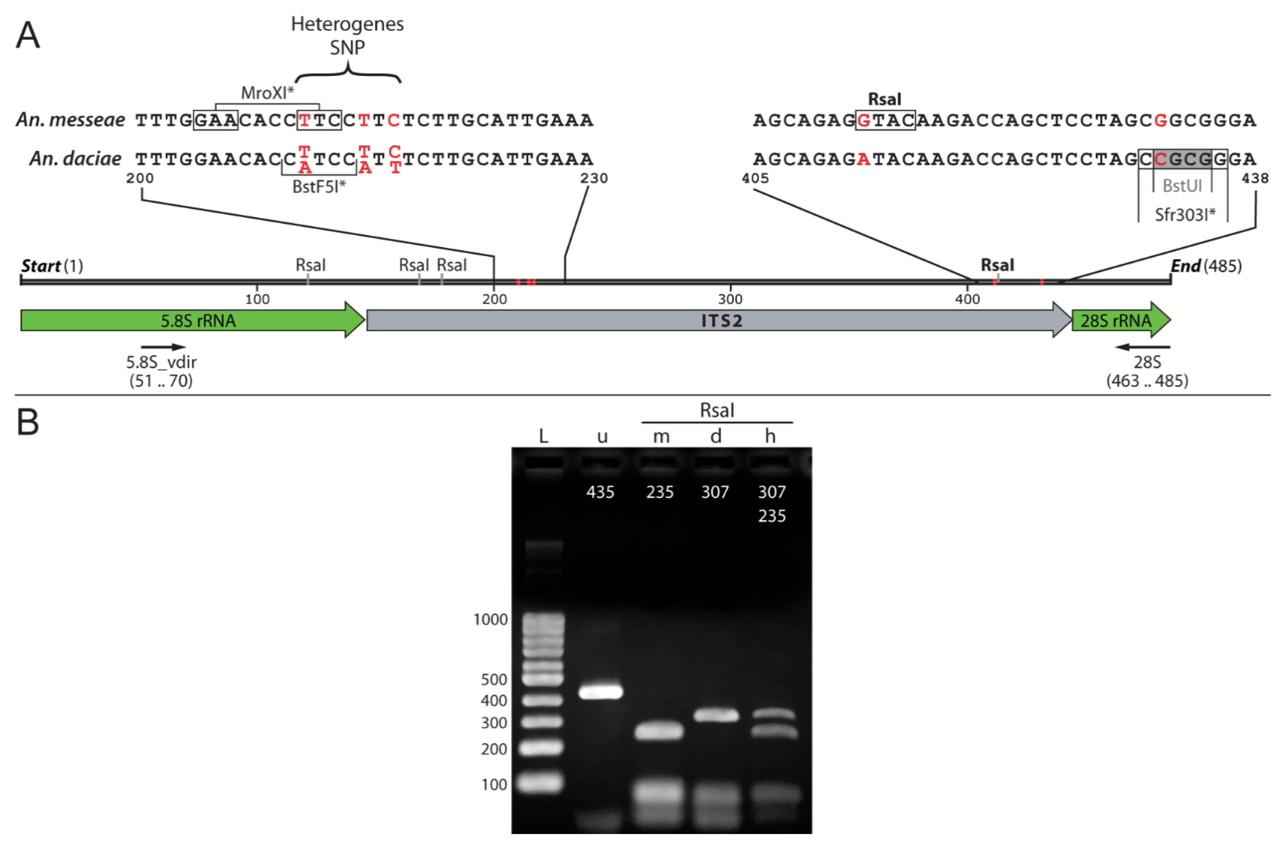 Insects 12 00835 g005 Insects 12 00835 g005