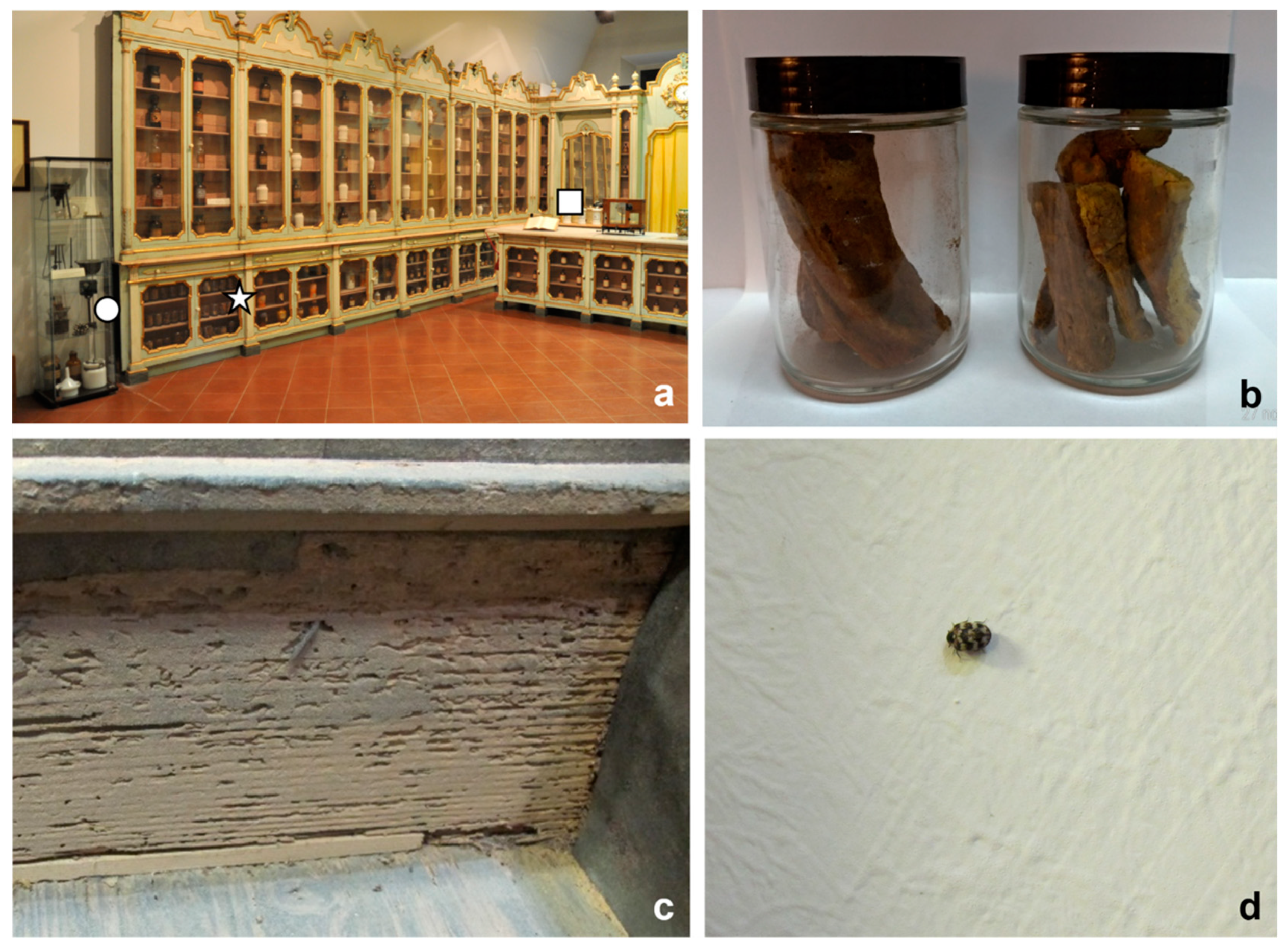 Insects 12 00839 g002 550