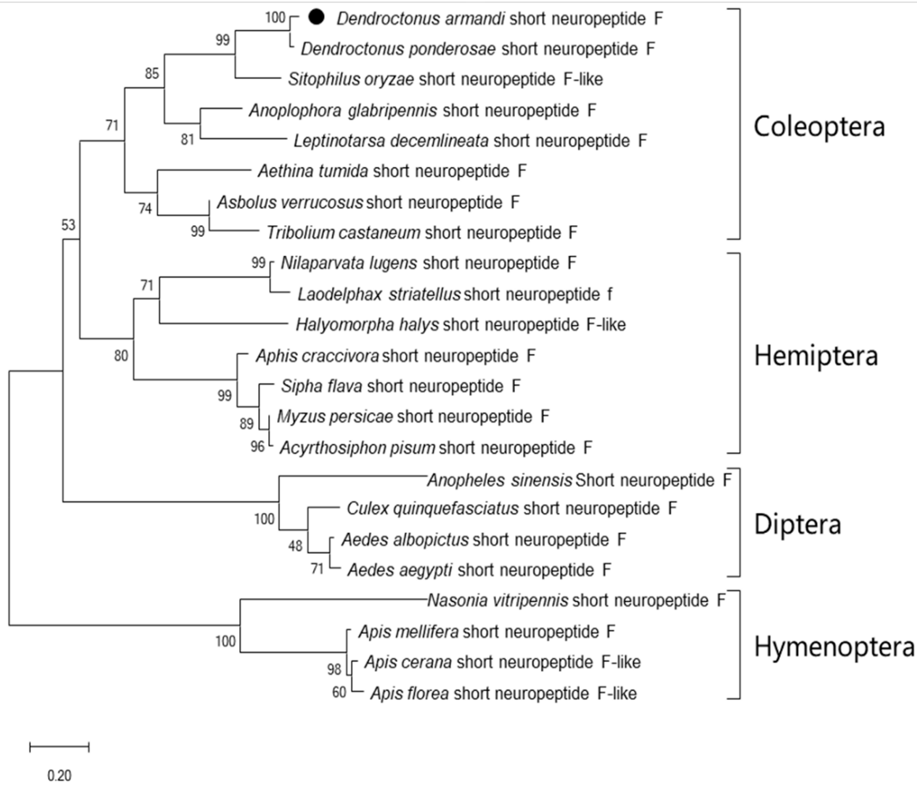 Insects 12 00844 g002 550