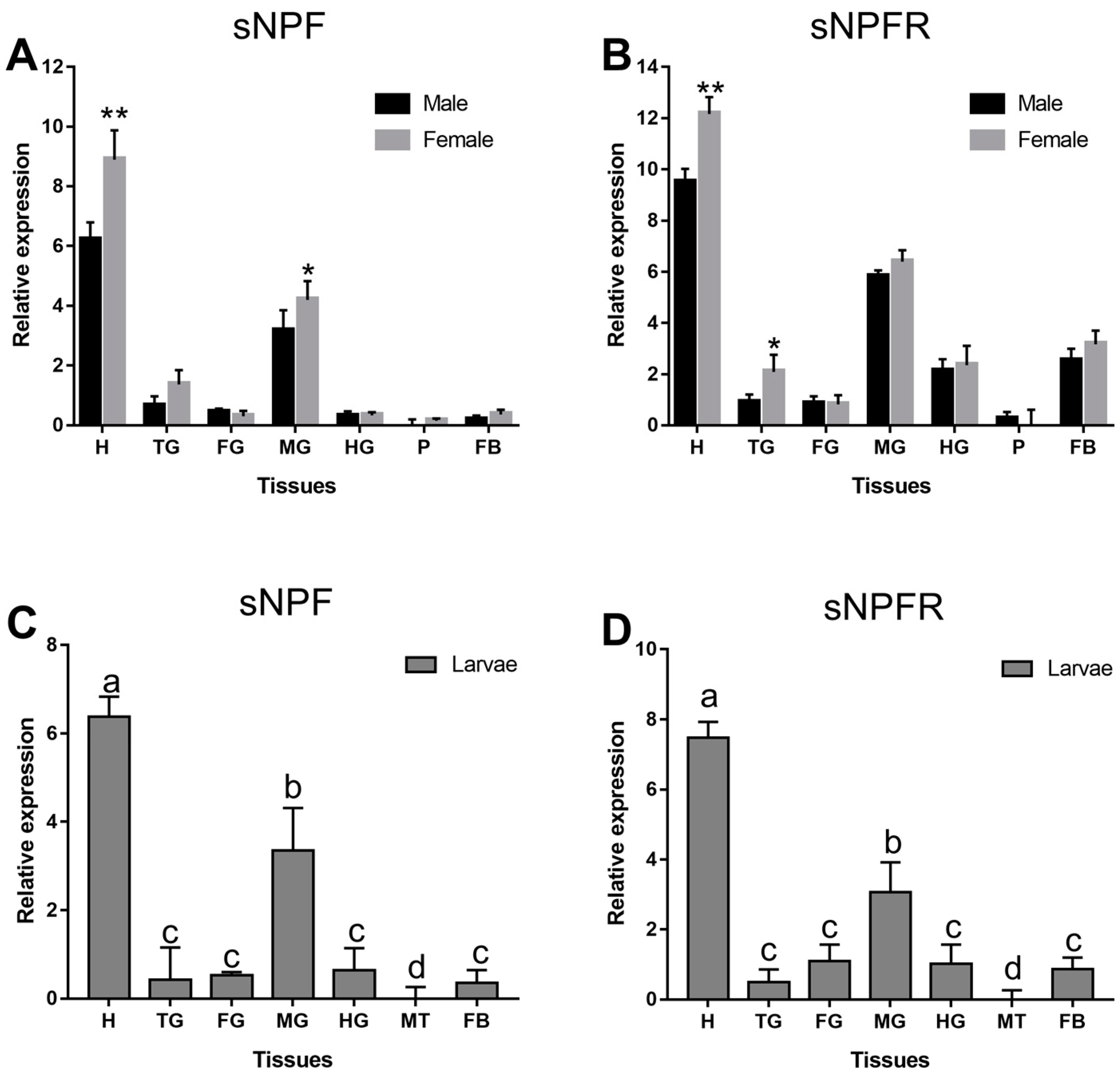 Insects 12 00844 g004 550