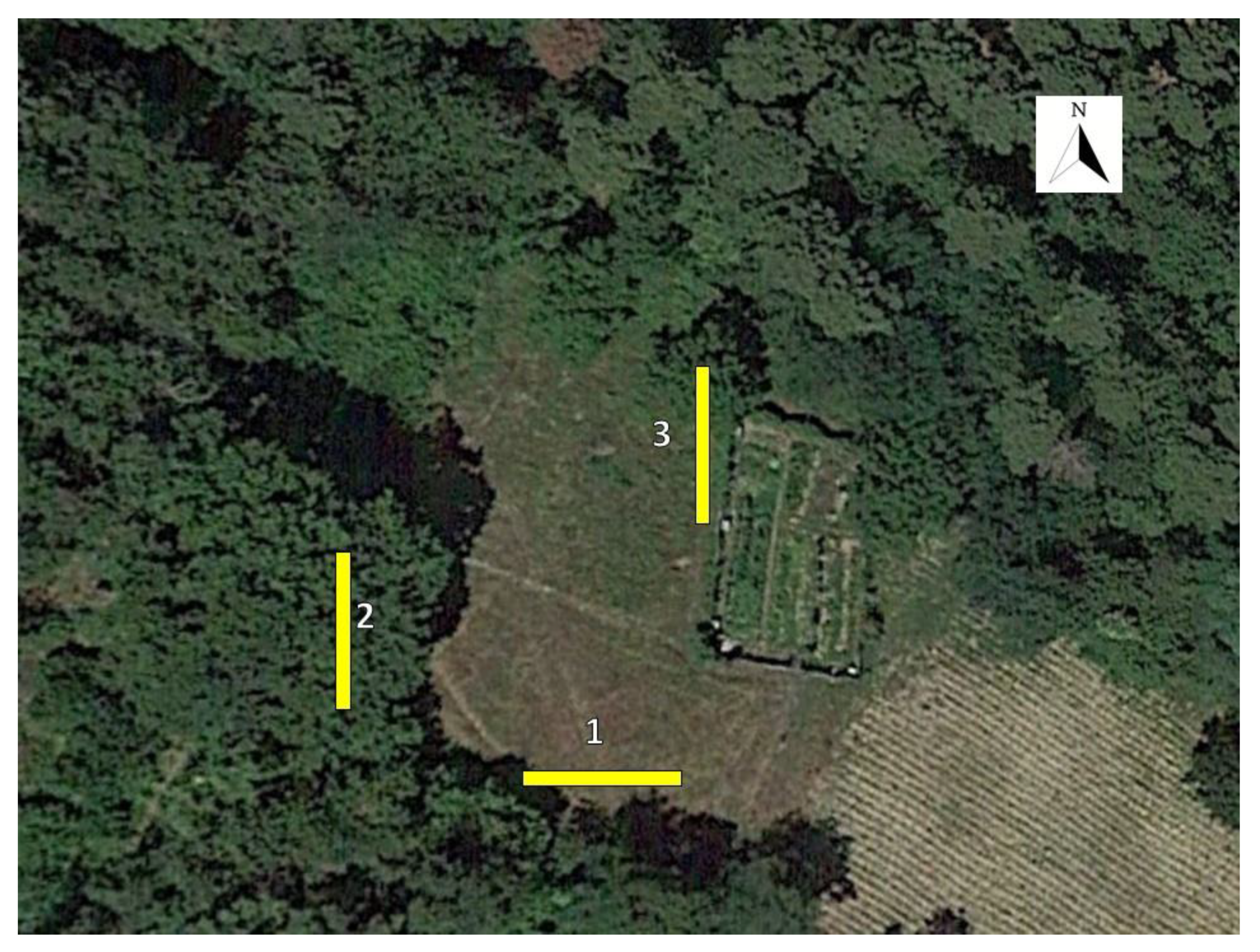 Insects 12 00845 g001 Insects 12 00845 g001