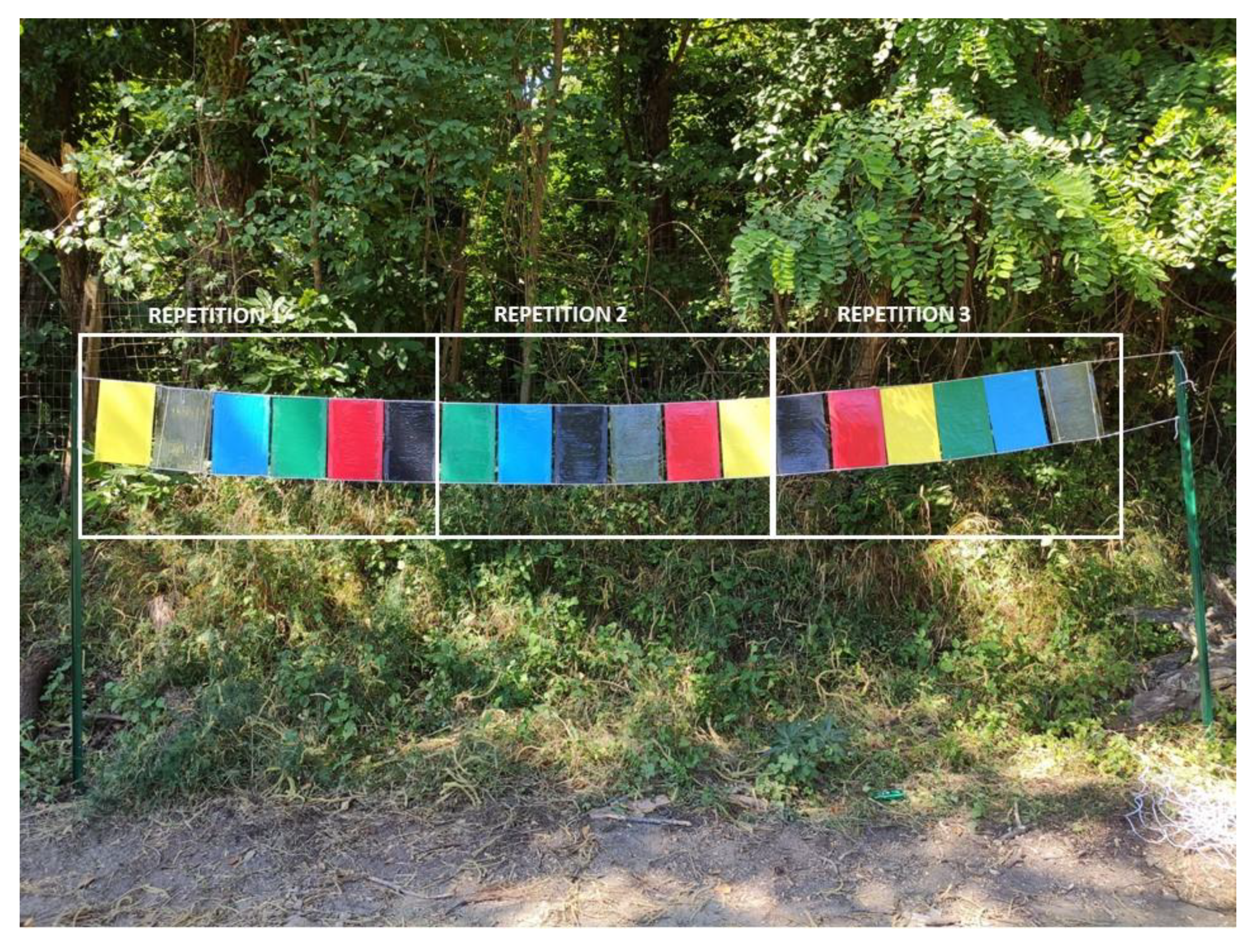 Insects 12 00845 g002 Insects 12 00845 g002