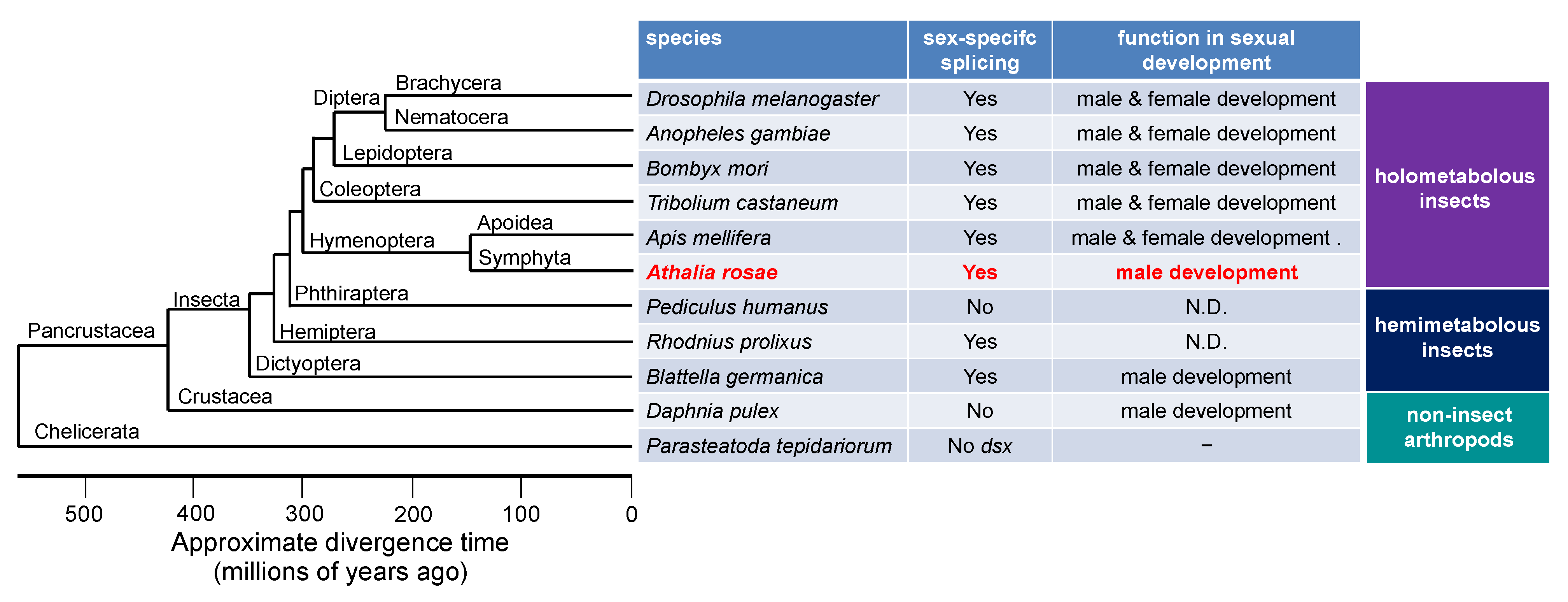 Insects 12 00849 g006 Insects 12 00849 g006