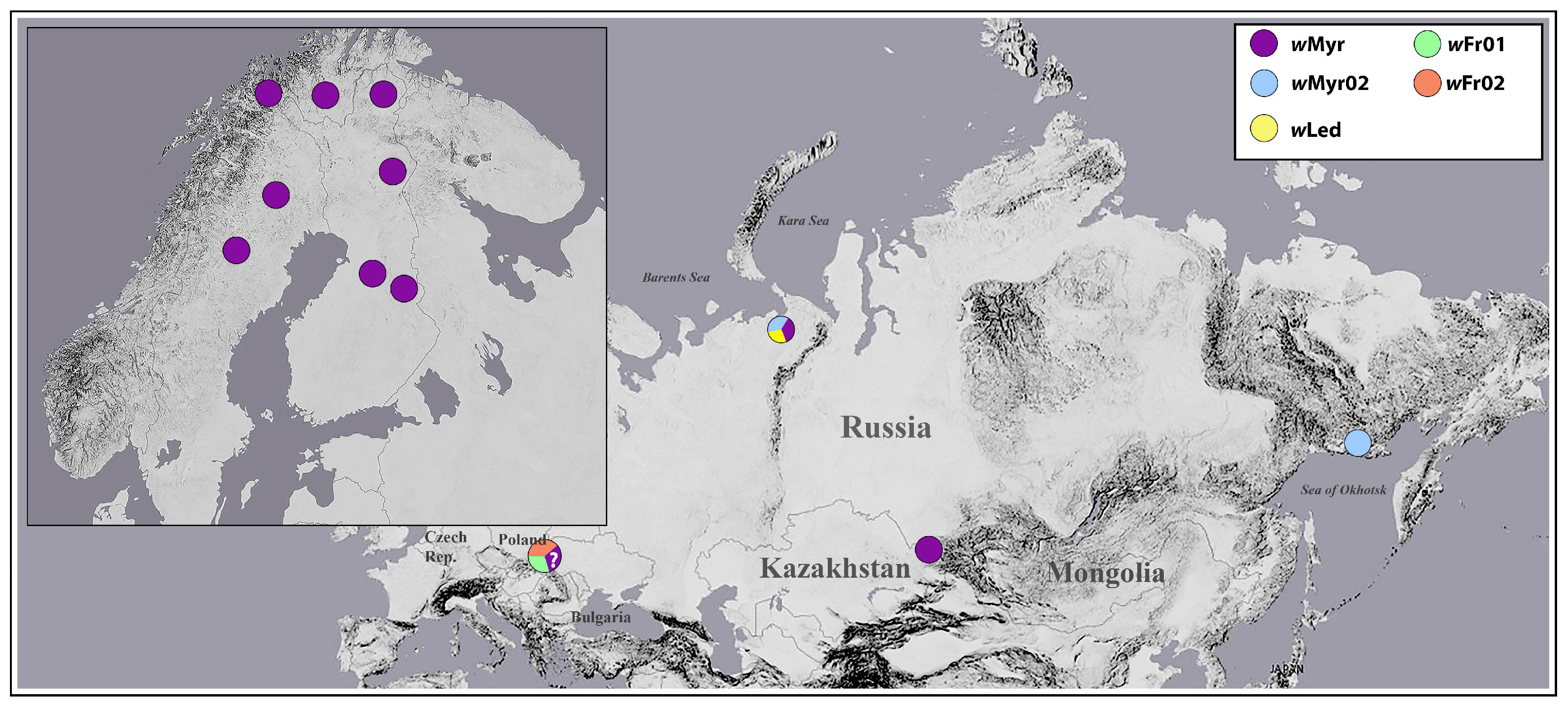 Insects 12 00853 g003 Insects 12 00853 g003