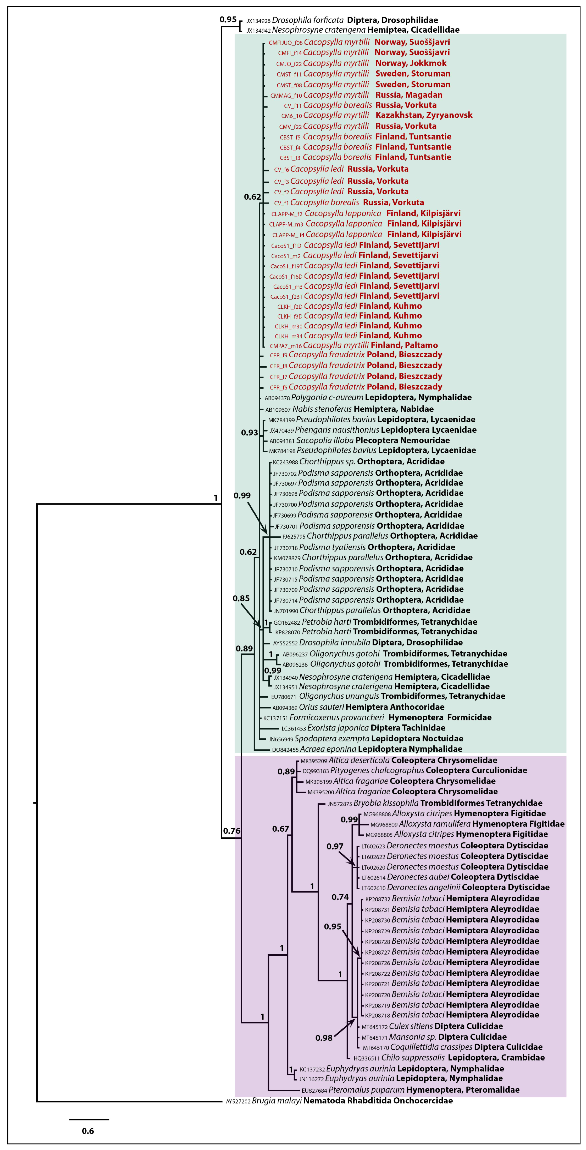 Insects 12 00853 g004 Insects 12 00853 g004