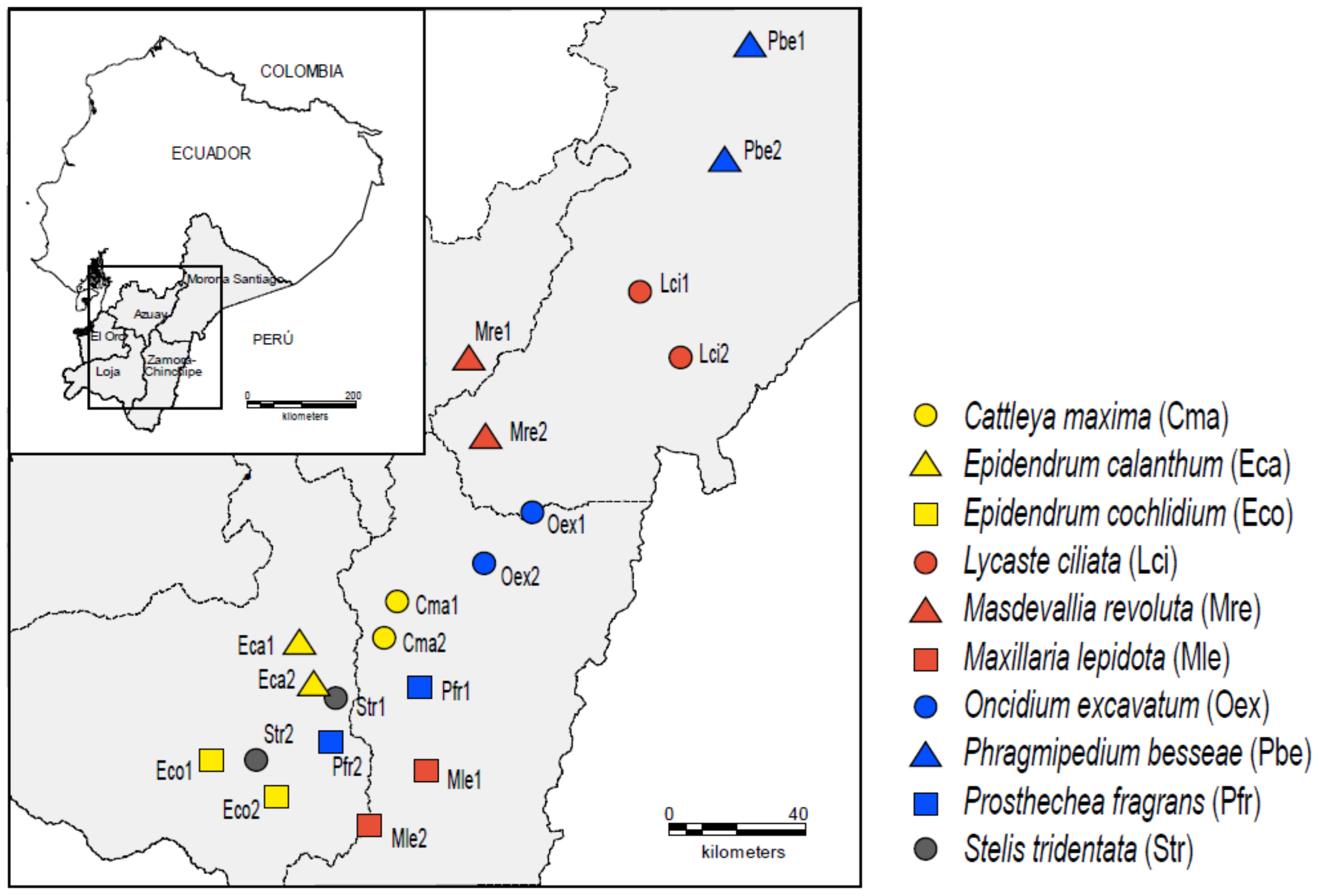 Insects 12 00856 g001 Insects 12 00856 g001