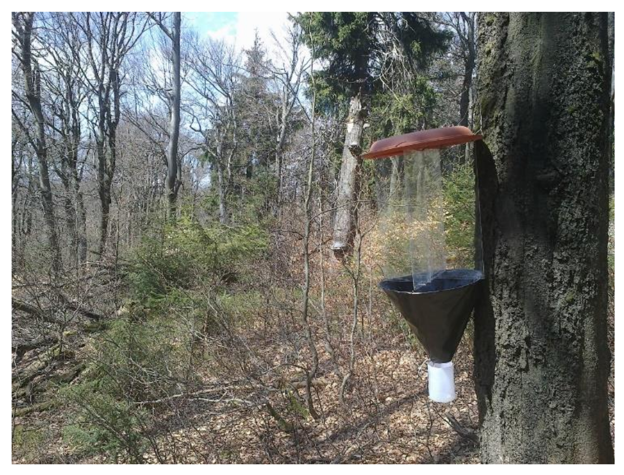 Insects 12 00858 g001 550