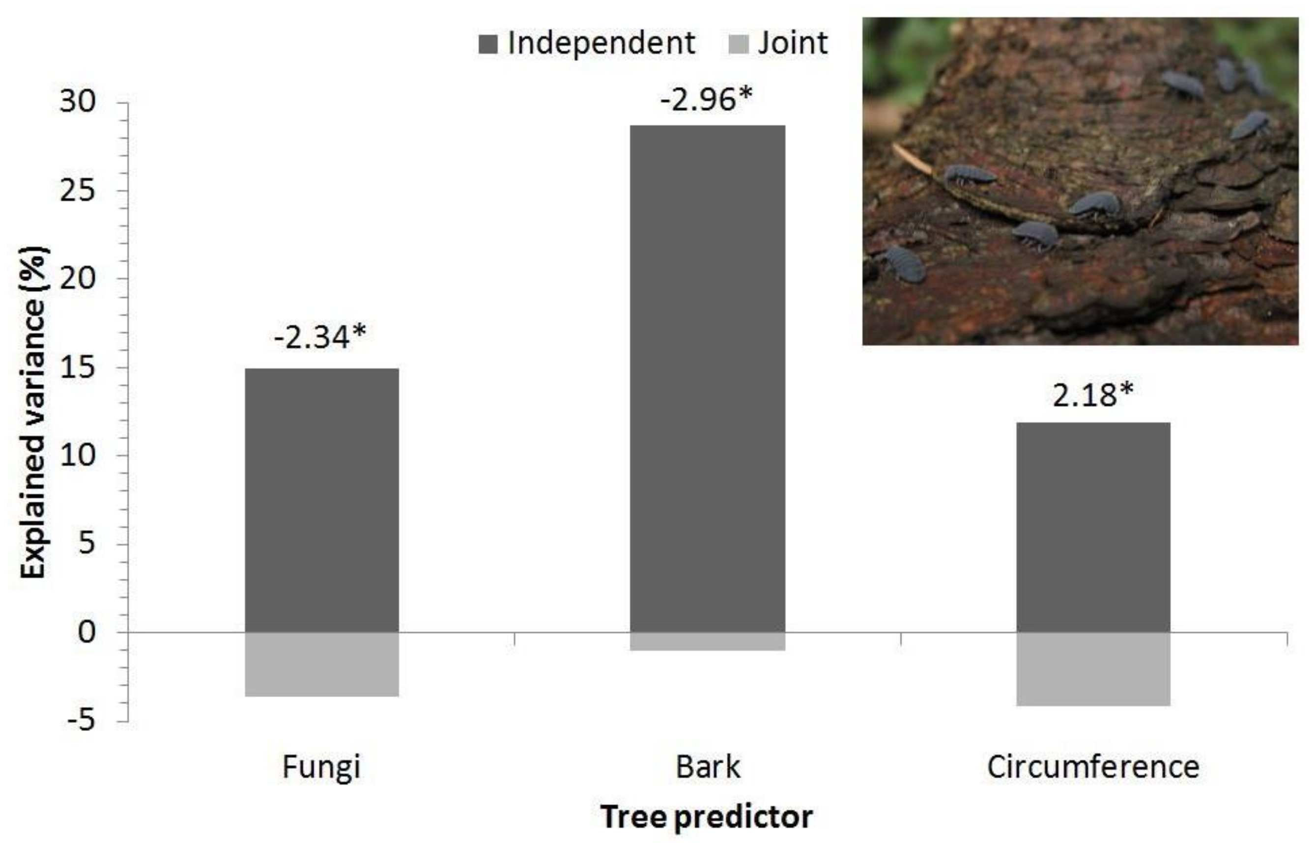 Insects 12 00858 g003 550