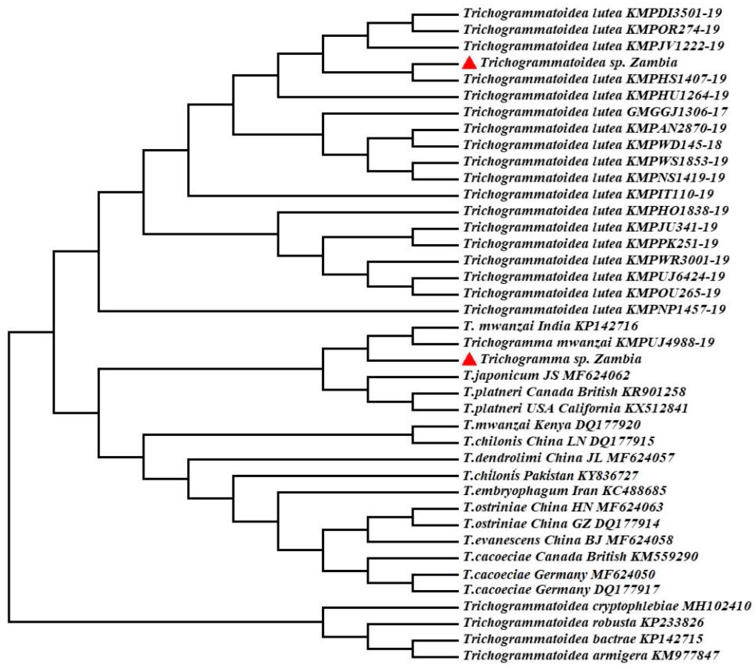 Insects 12 00859 g002 Insects 12 00859 g002