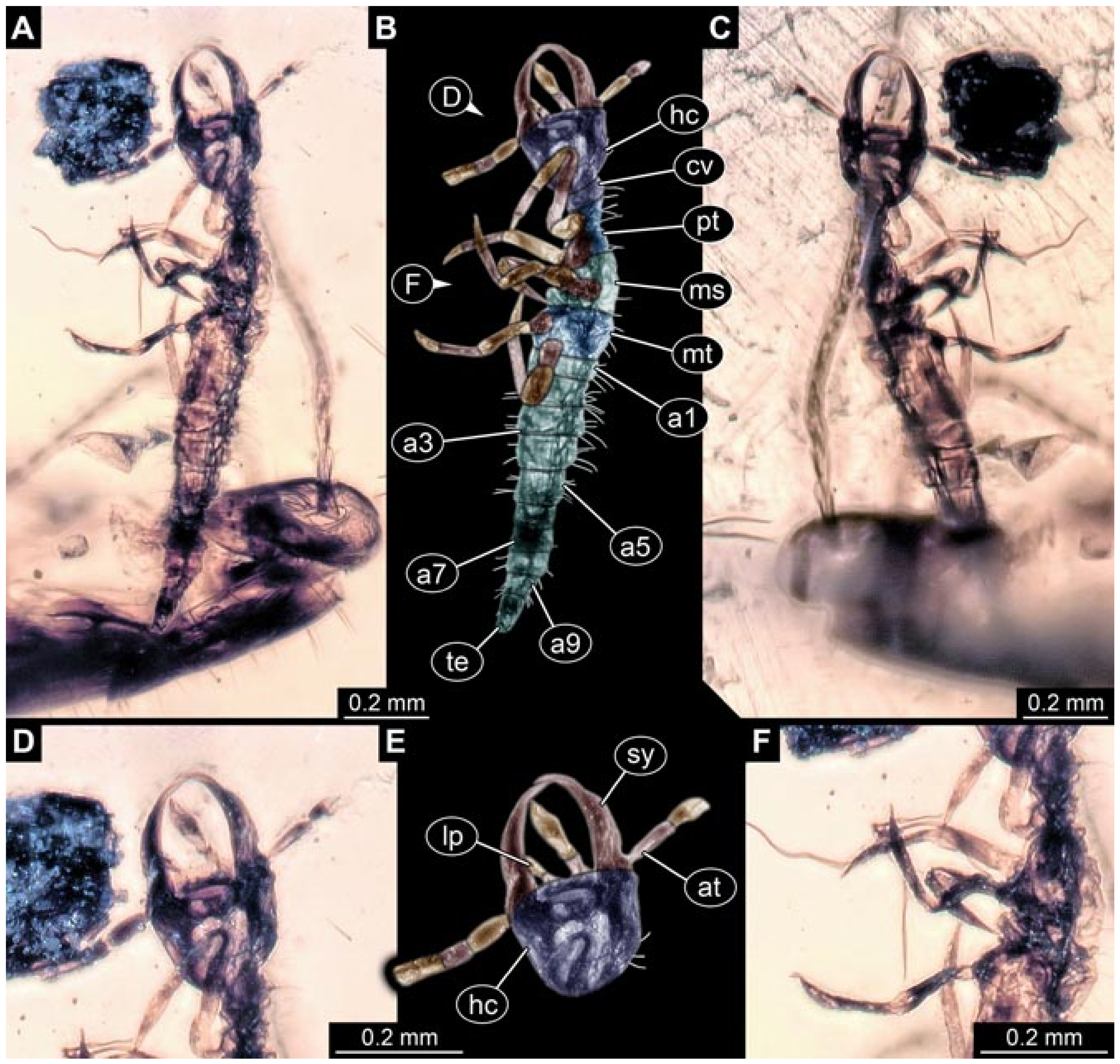 Insects 12 00860 g023 550