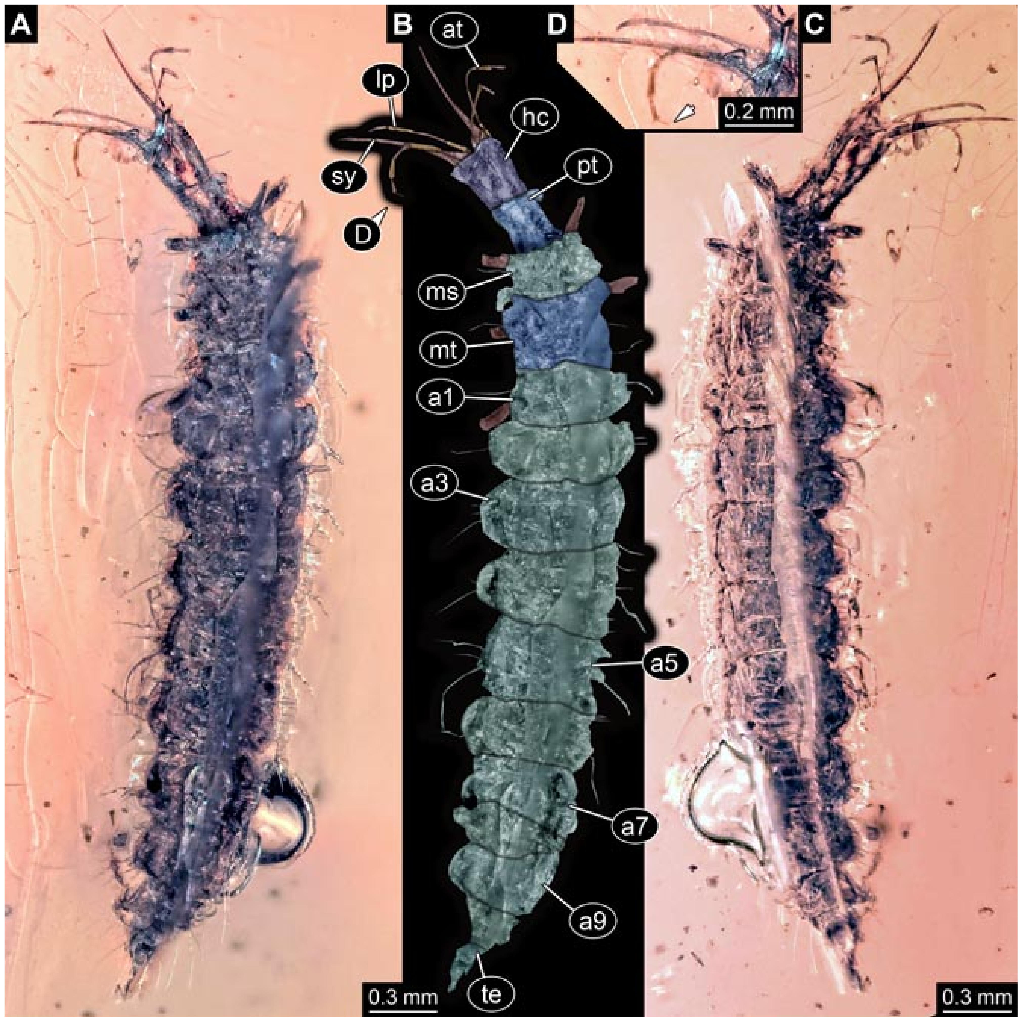 Insects 12 00860 g029 550