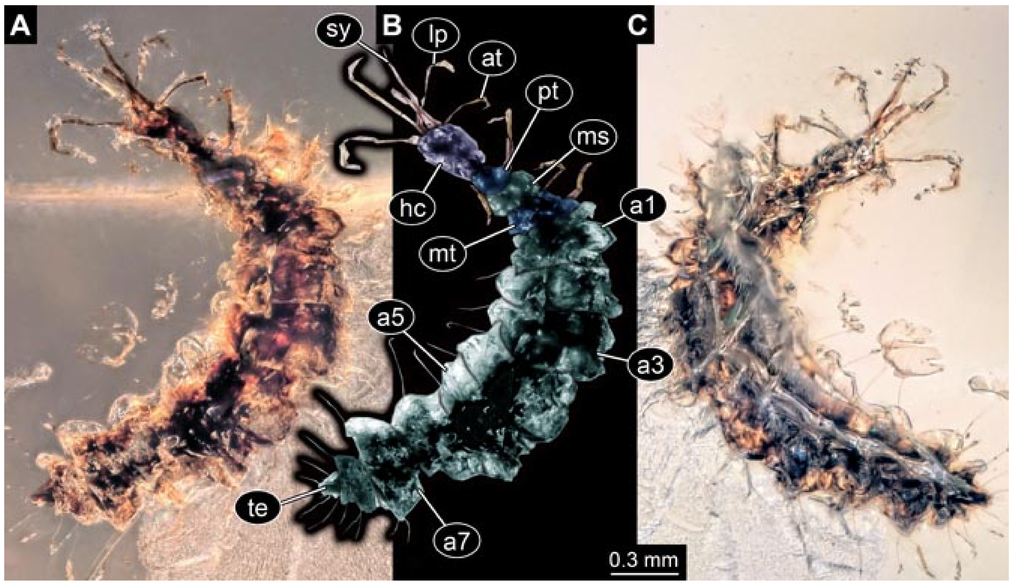 Insects 12 00860 g030 550