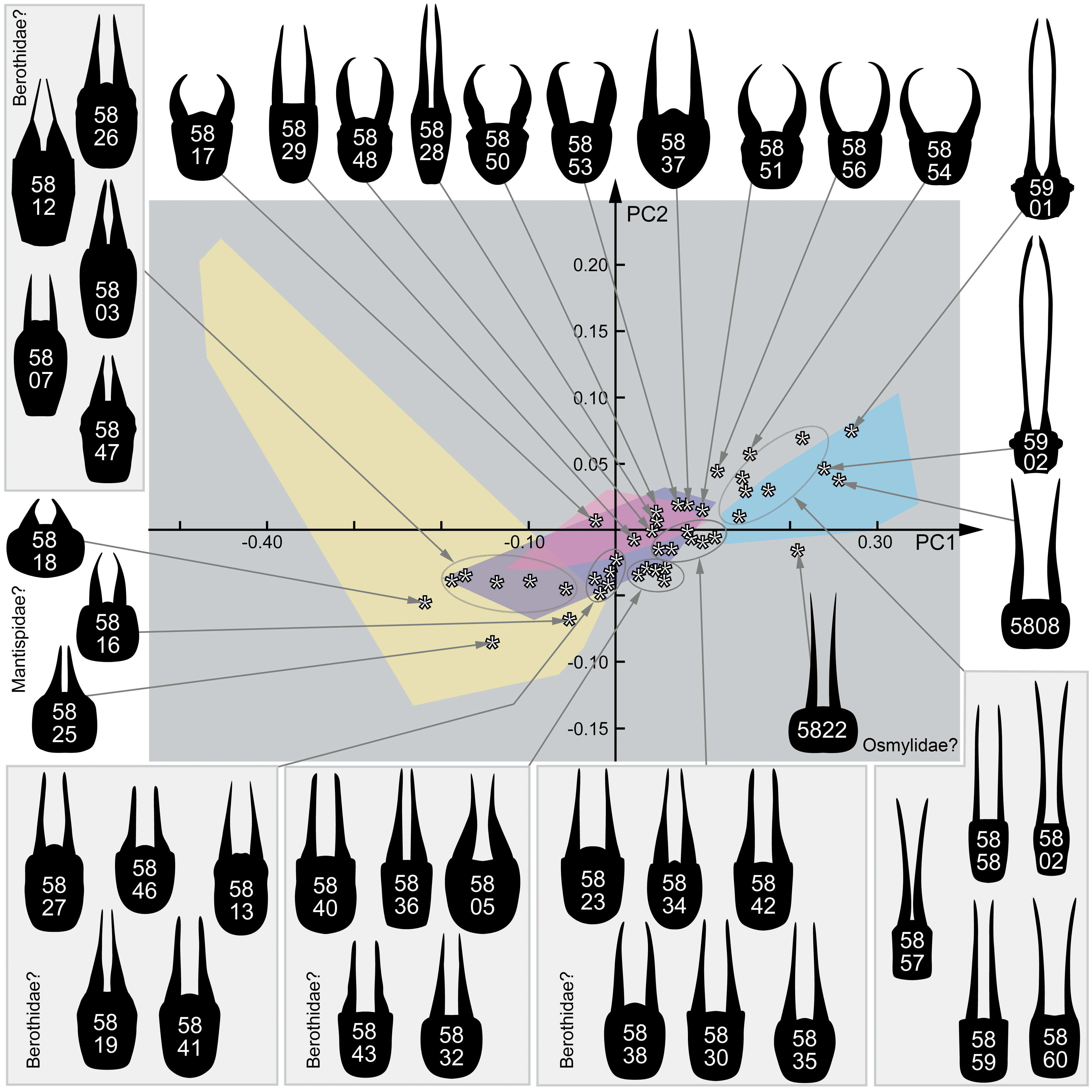 Insects 12 00860 g033 550