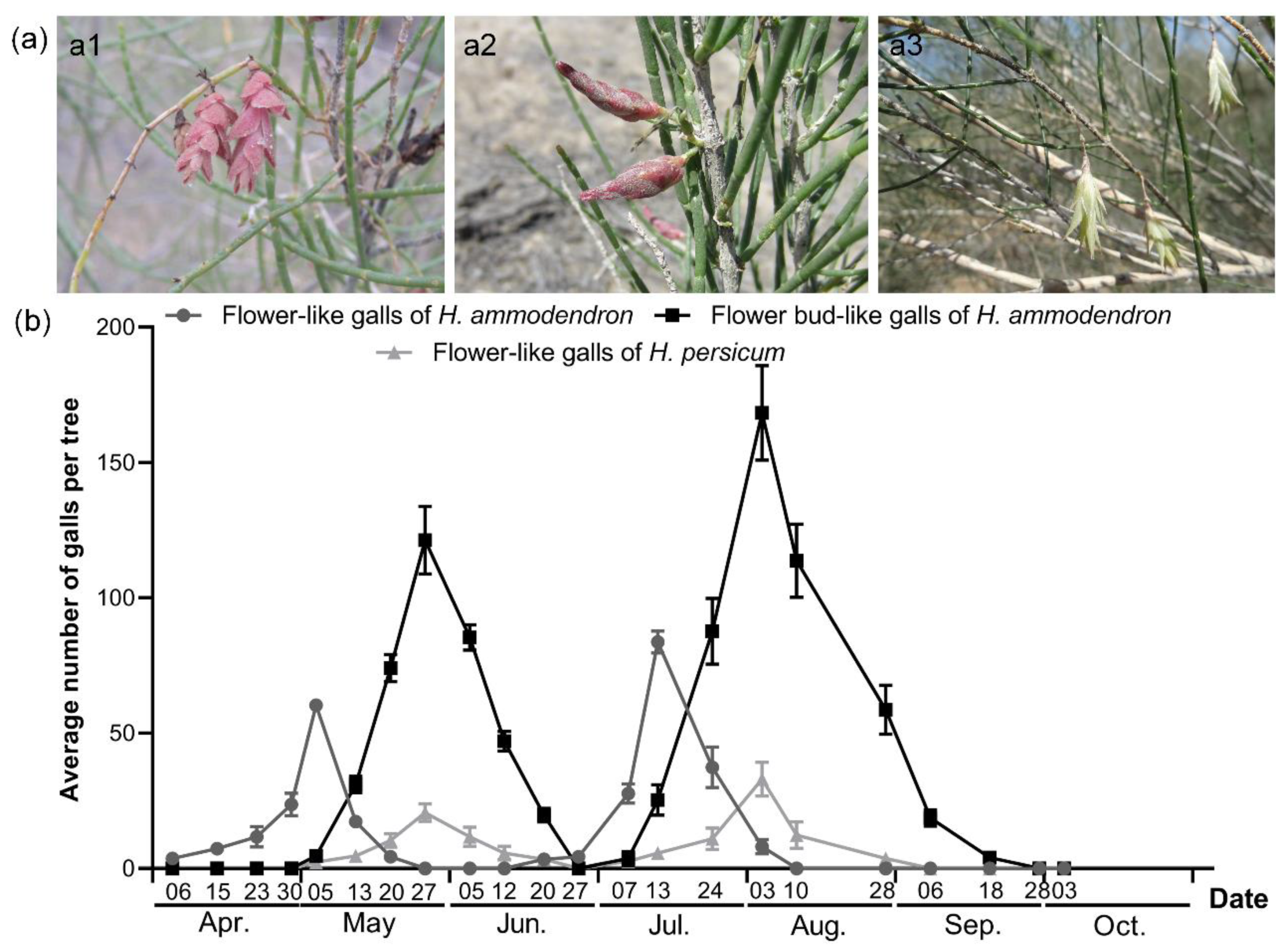 Insects 12 00861 g002