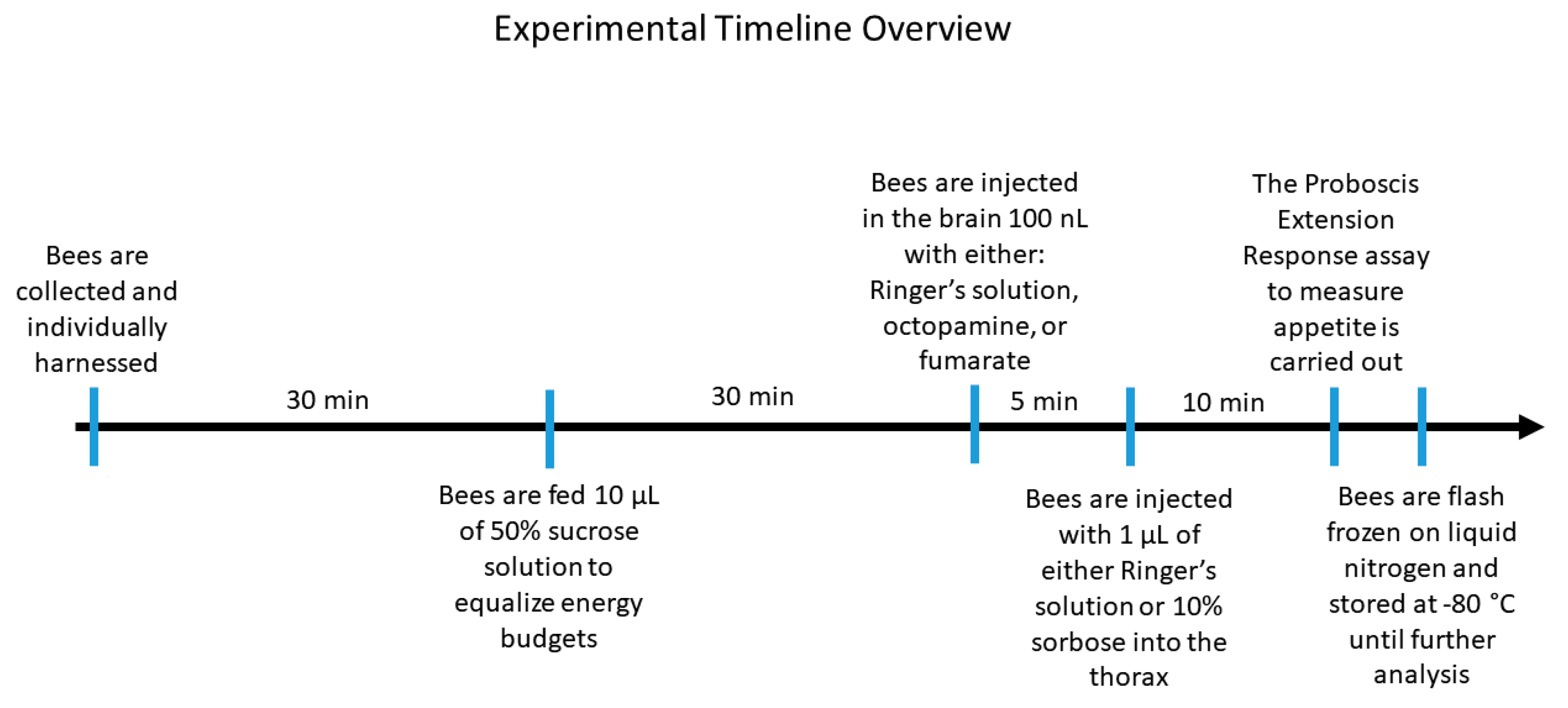 Insects 12 00863 g001