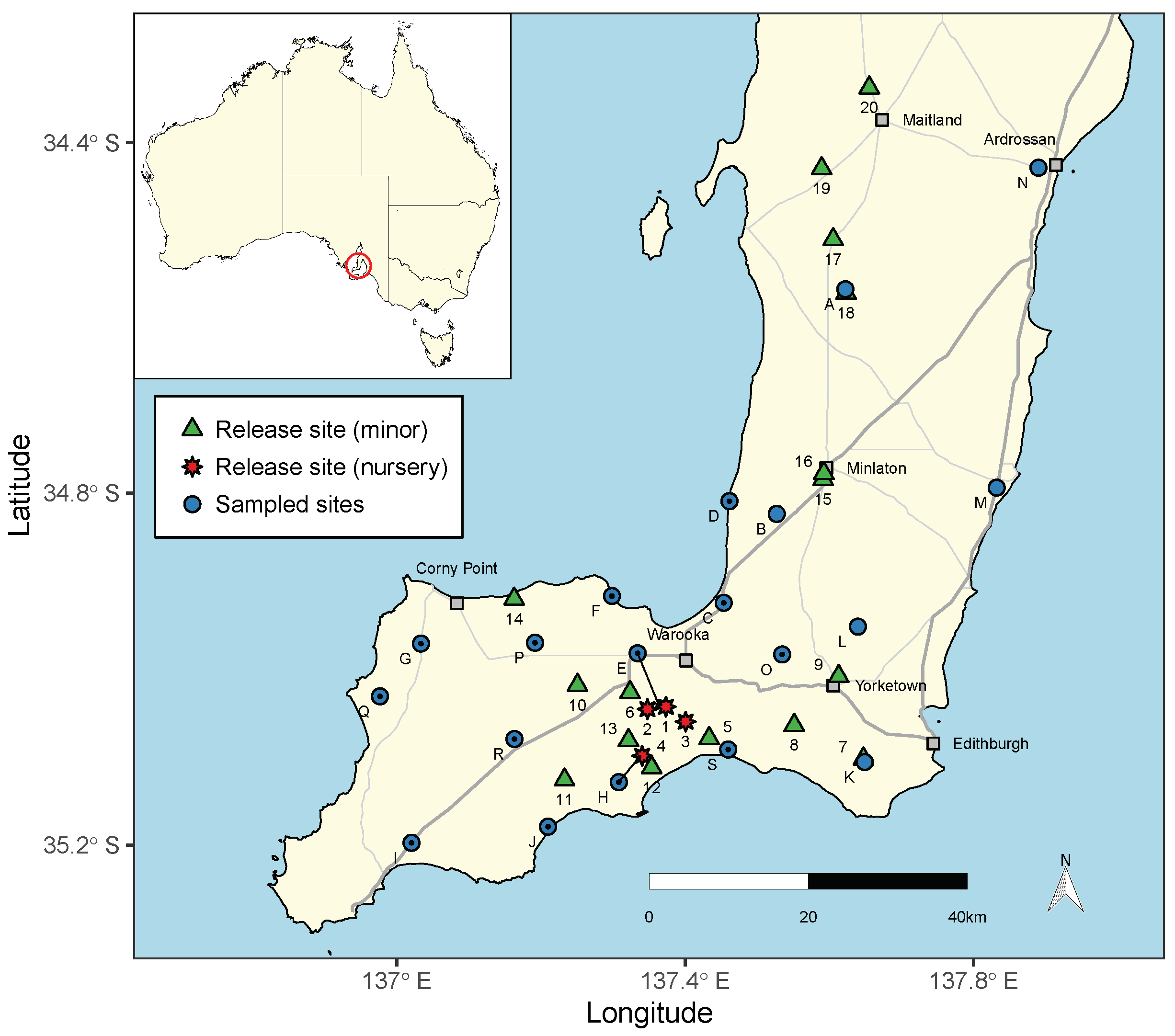 Insects 12 00865 g001