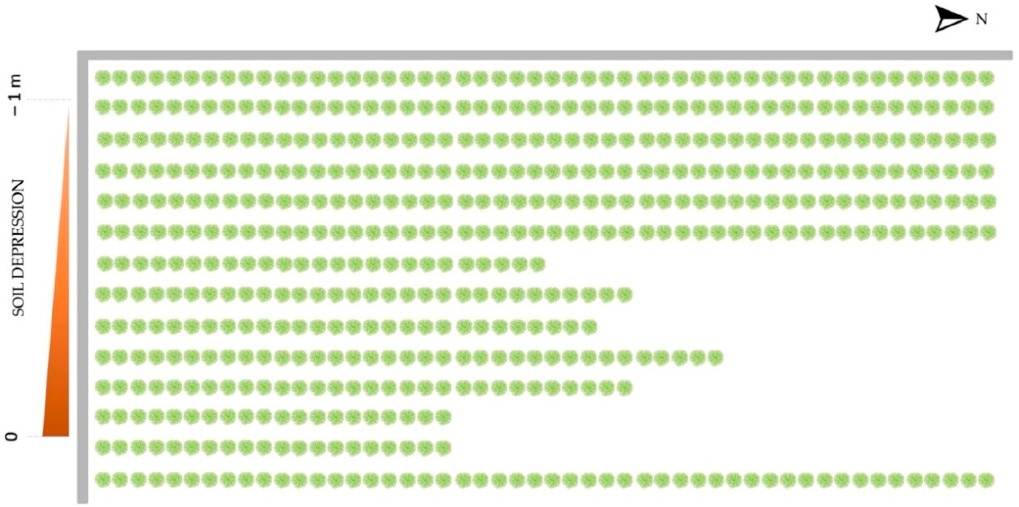 Insects 12 00869 g001 550