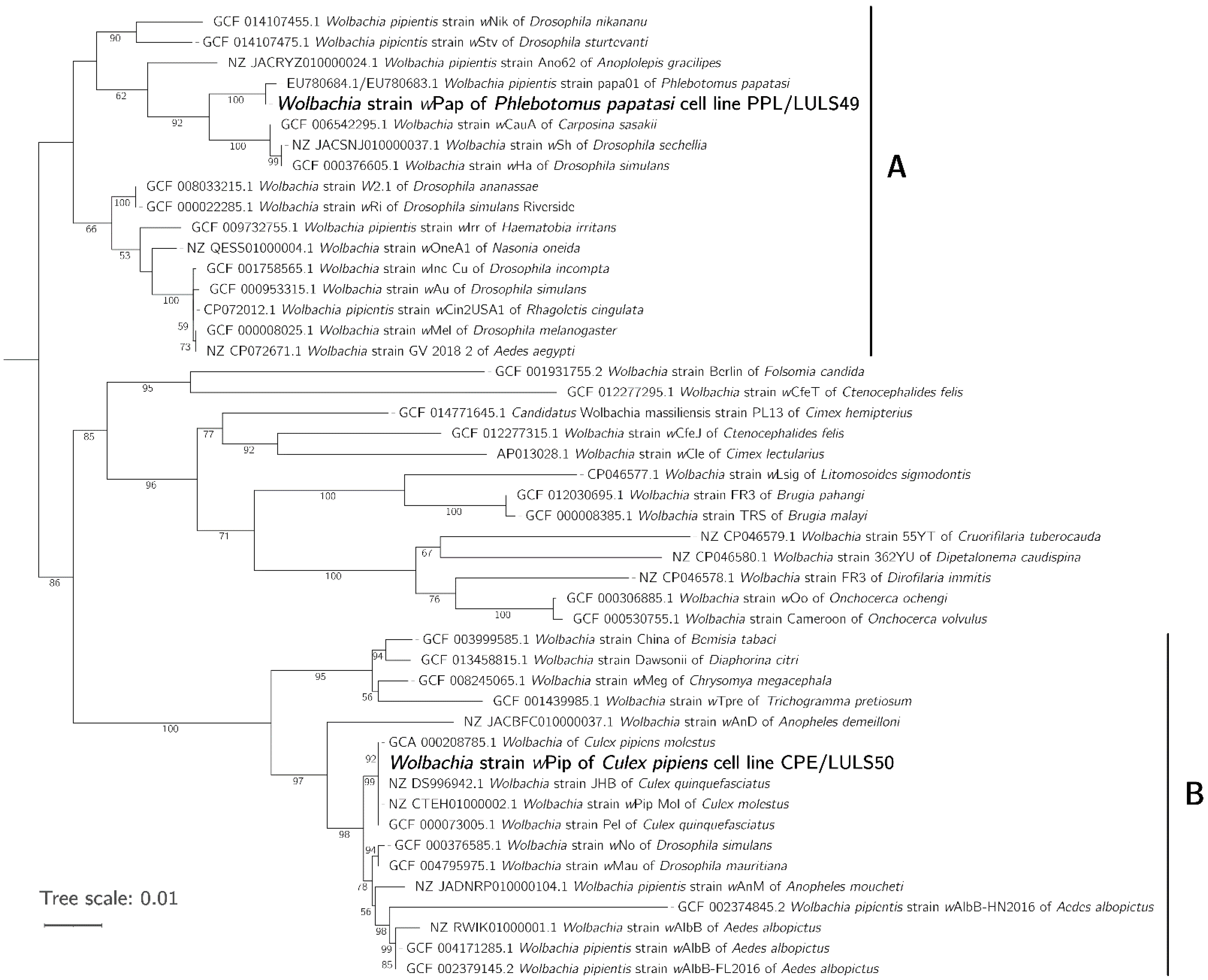 Insects 12 00871 g003