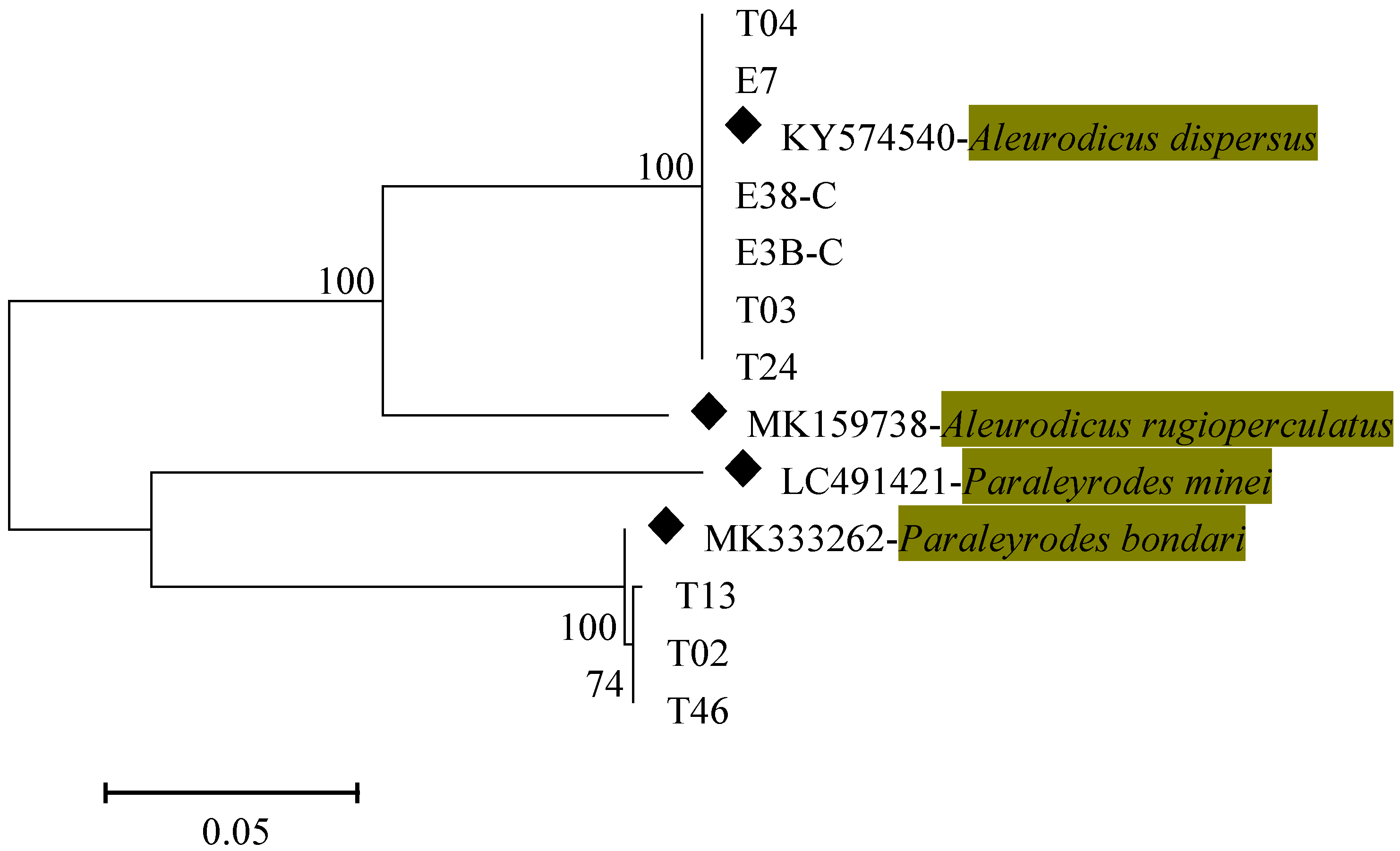 Insects 12 00875 g003