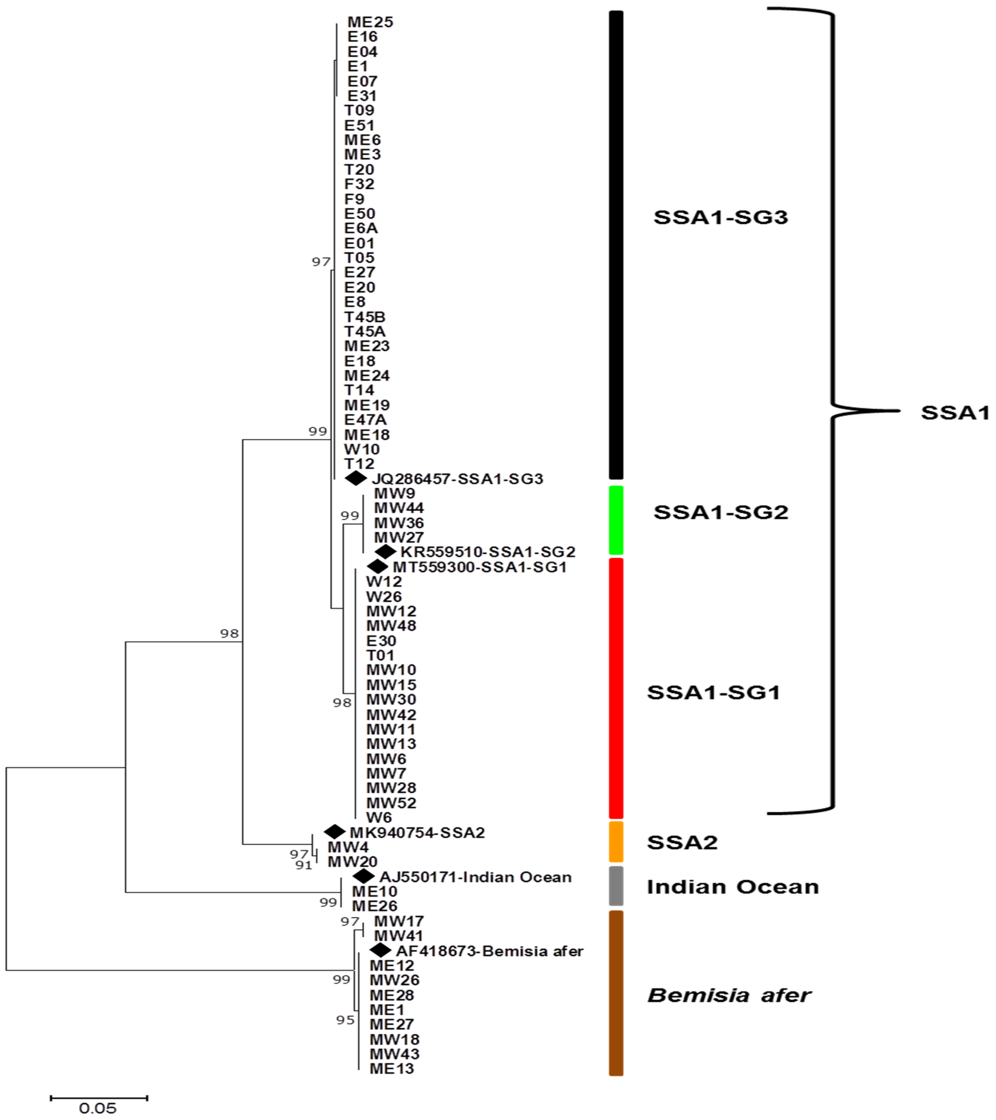 Insects 12 00875 g004