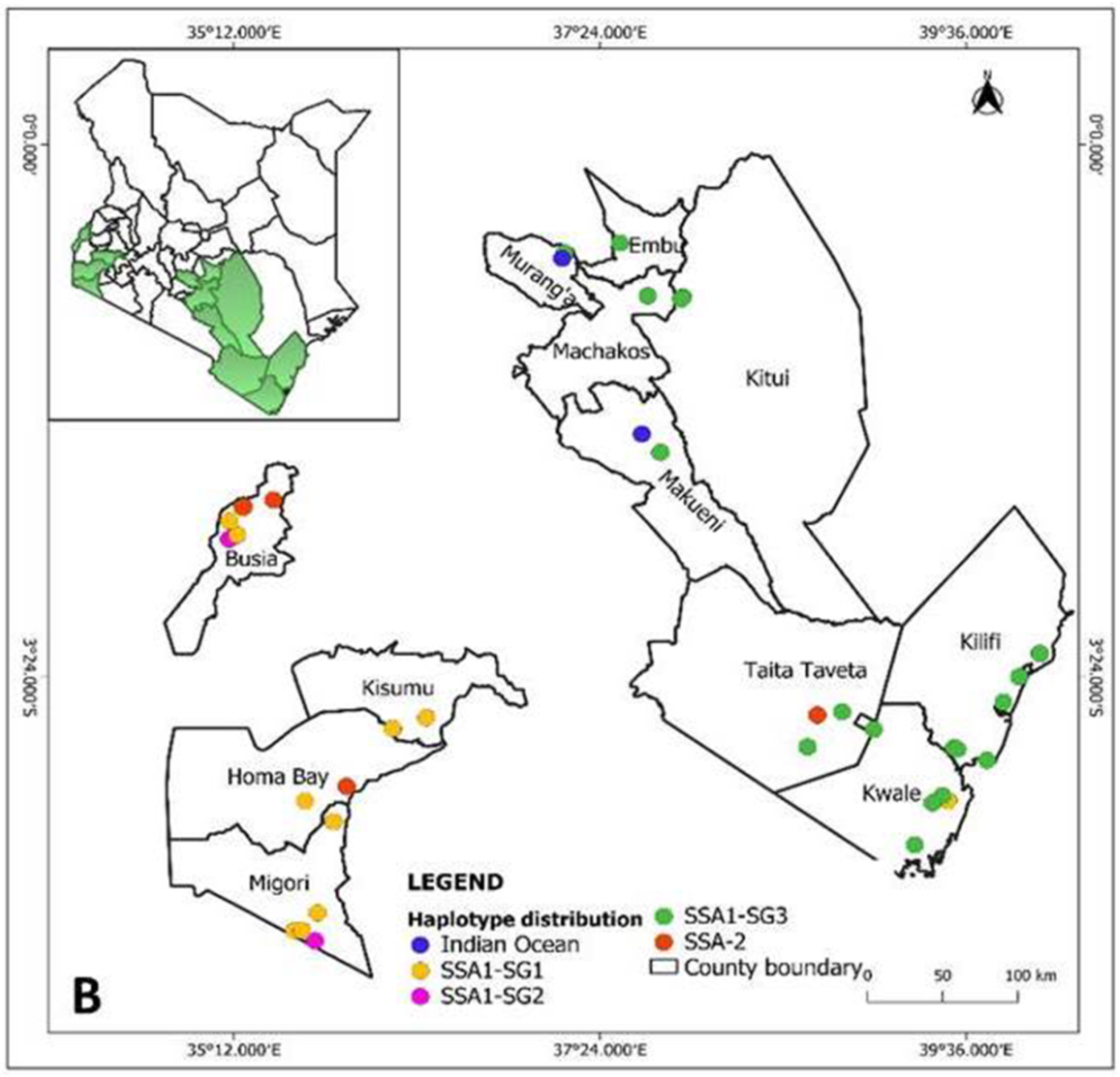 Insects 12 00875 g005b