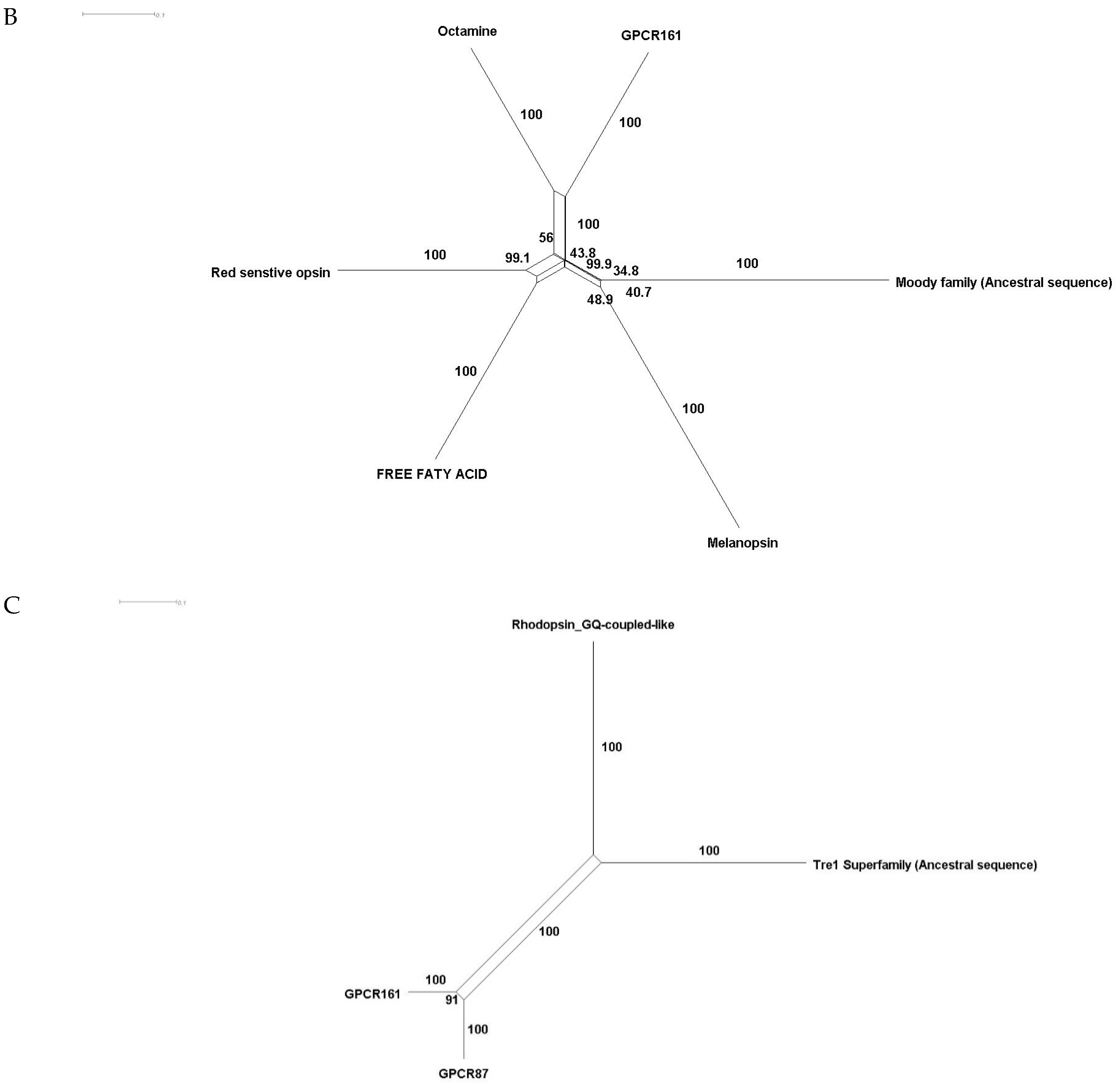 Insects 12 00882 g002b