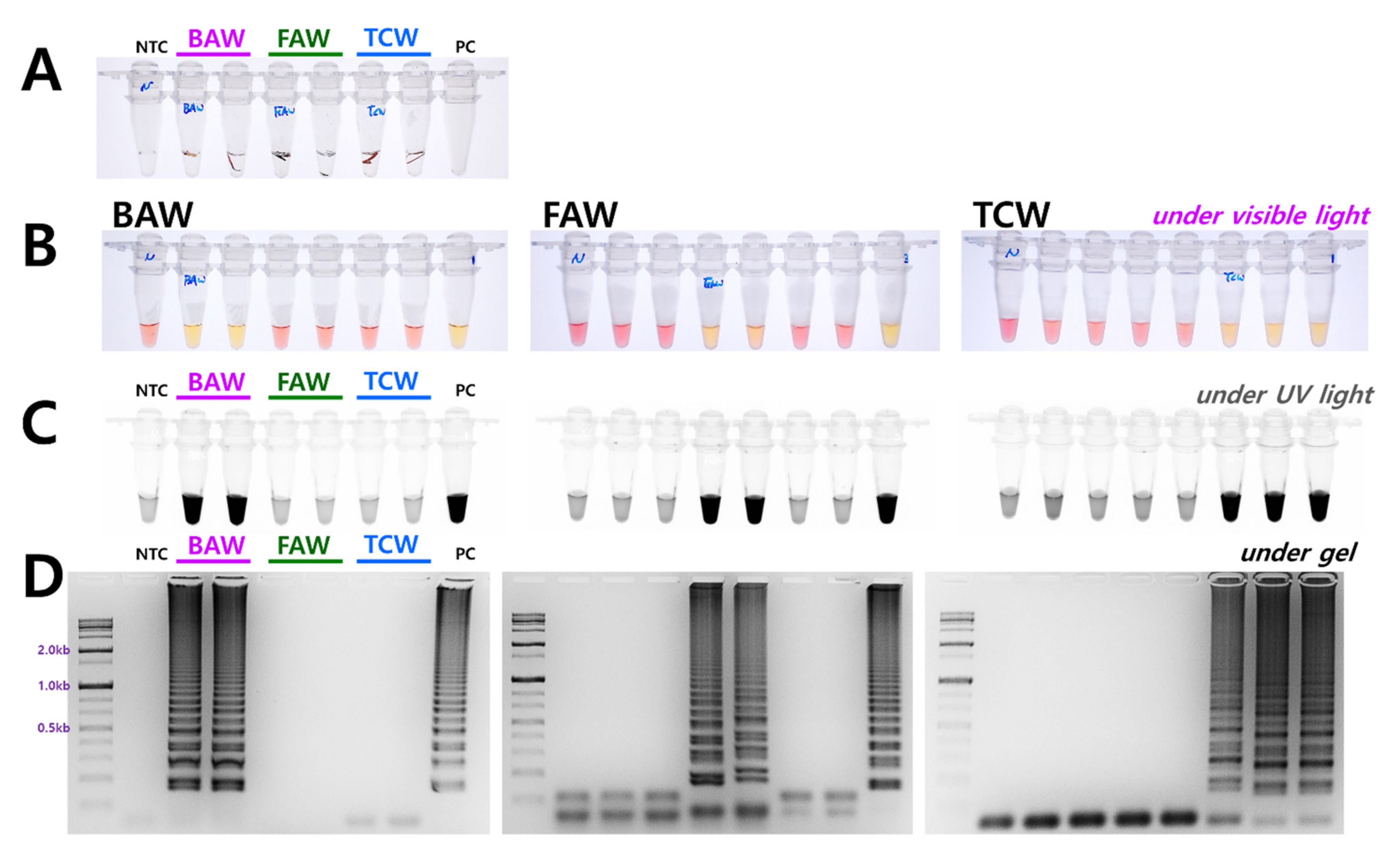 Insects 12 00883 g004 550
