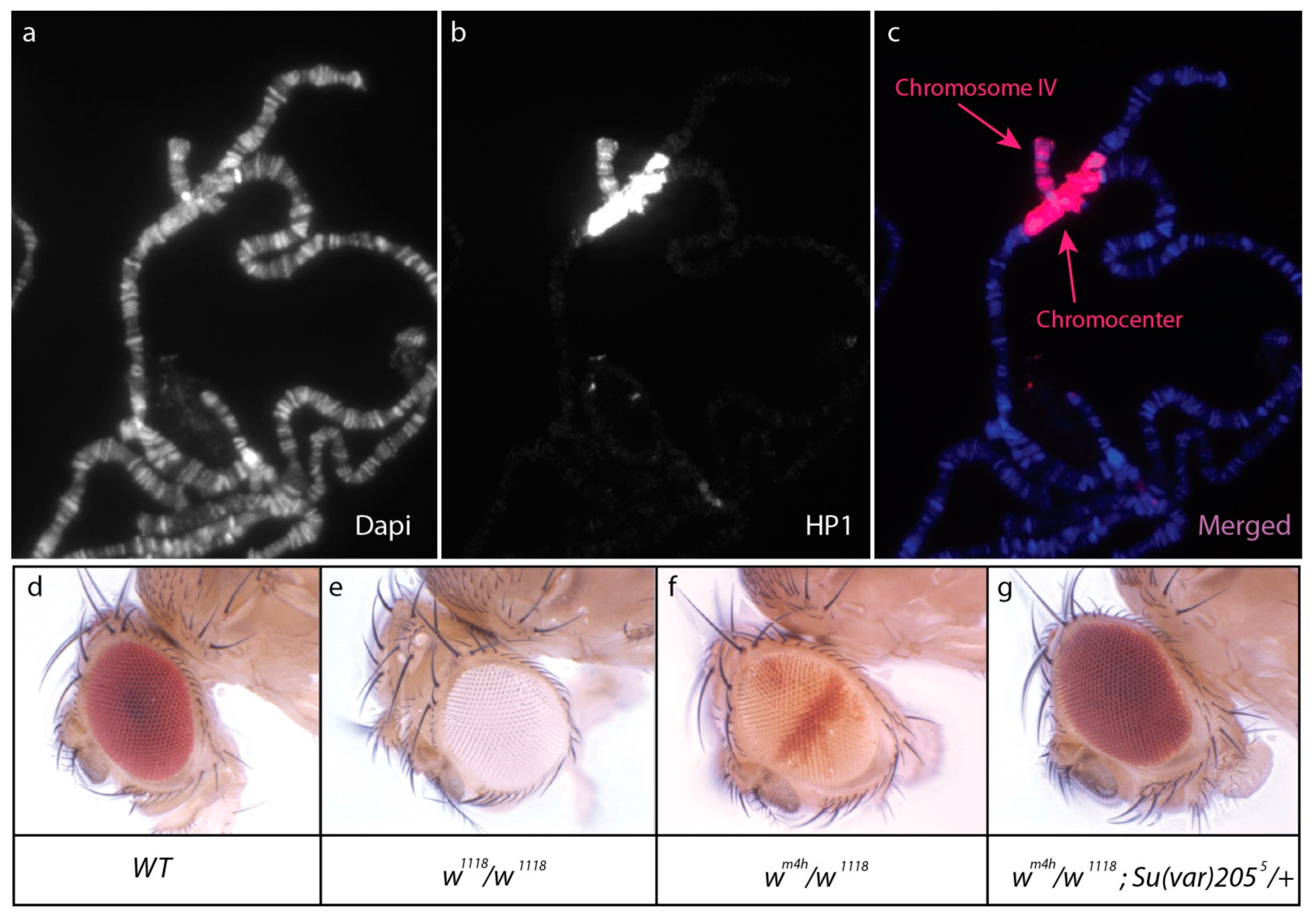 Insects 12 00884 g001 Insects 12 00884 g001
