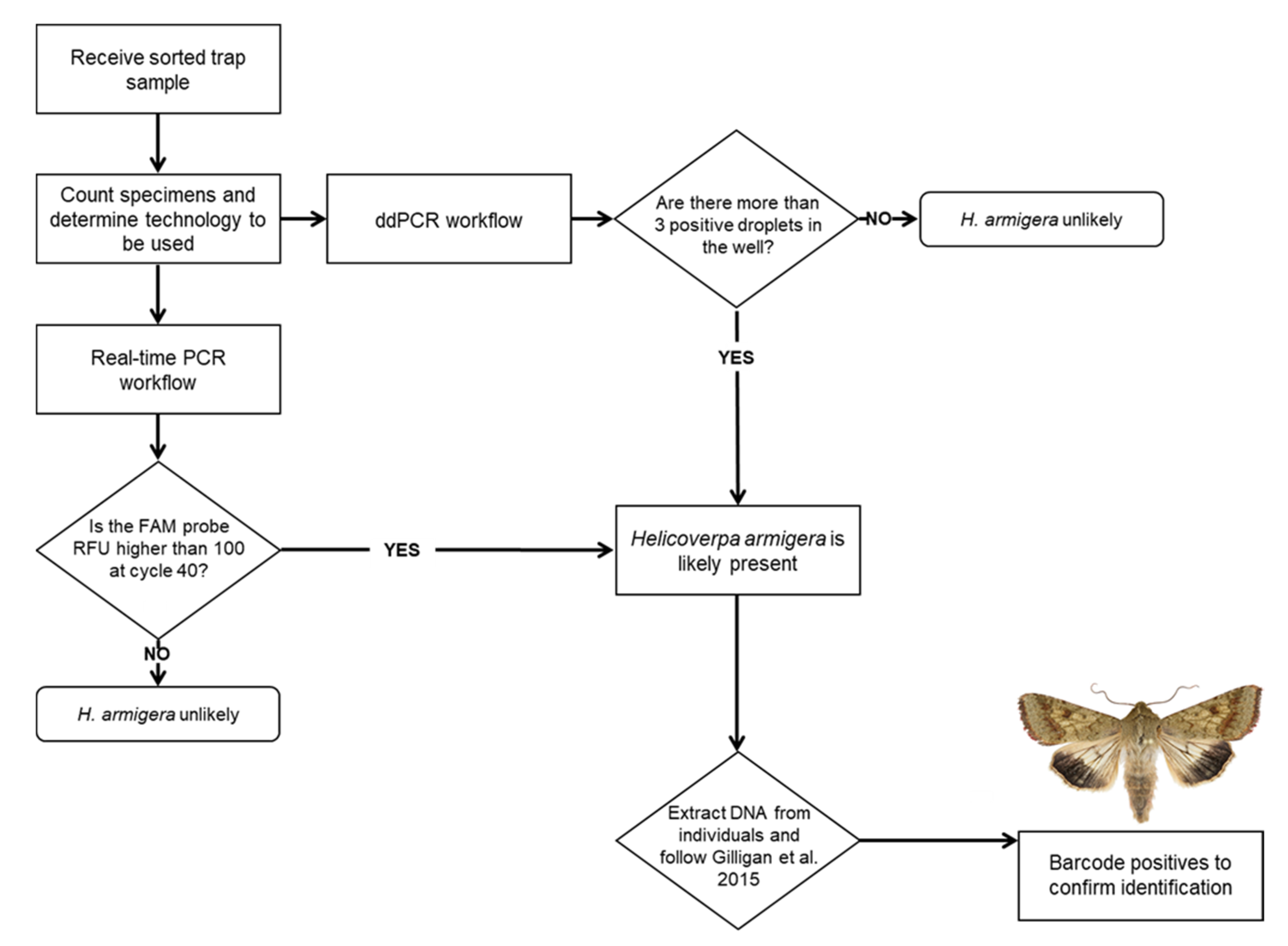 Insects 12 00885 g007